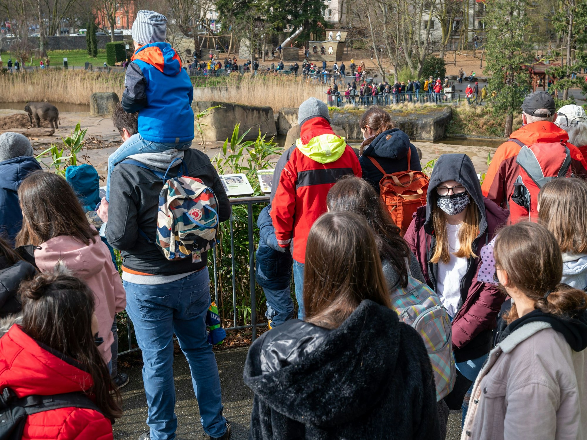 Viele Menschen besuchen Zoo und drängen sich vor den Gehegen.