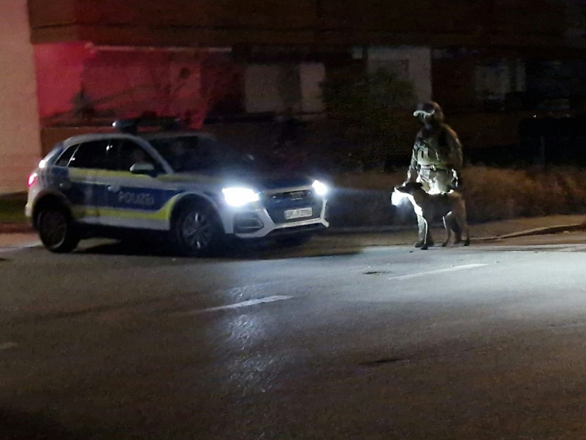 23.11.2024, Bayern, Würding: Das Standbild aus einem Video zeigt ein Polizei und SEK im Einsatz, nachdem ein 97-Jähriger seine Ehefrau mit einer Pistole bedroht haben soll. Er wurde festgenommen. Die Frau konnte das Einfamilienhaus nach dem Vorfall unverletzt verlassen und wählte den Notruf, wie die Polizei mitteilte. Foto: Helmut Degenhart/Zema-Medien/dpa +++ dpa-Bildfunk +++