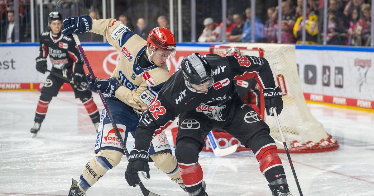 Haie starten mit Niederlage in Advent - Schreckmoment um Ex-Kölner ...