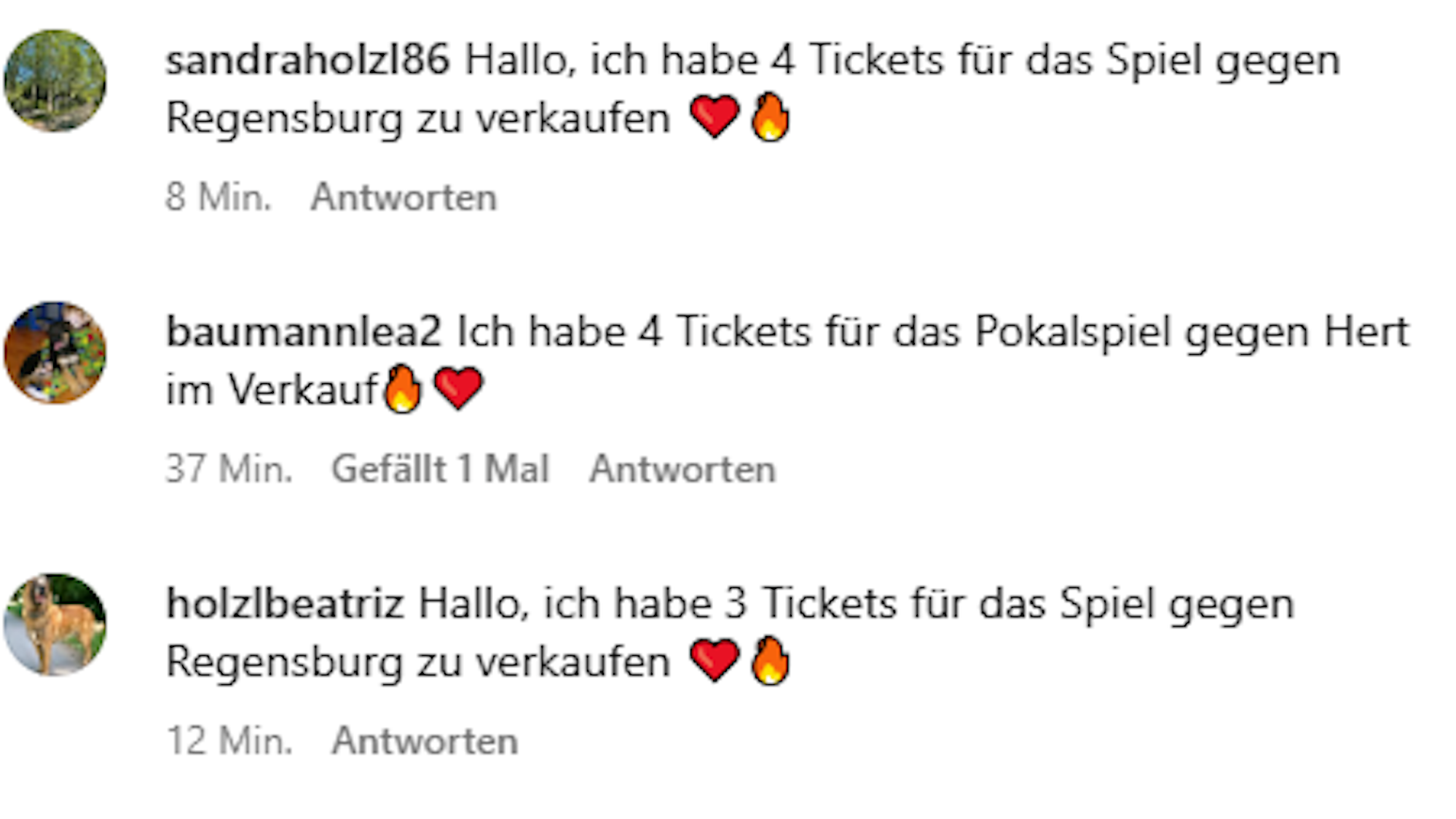 Kommentare von sogenannten Bots unter einem Instagram-Post des 1. FC Köln.