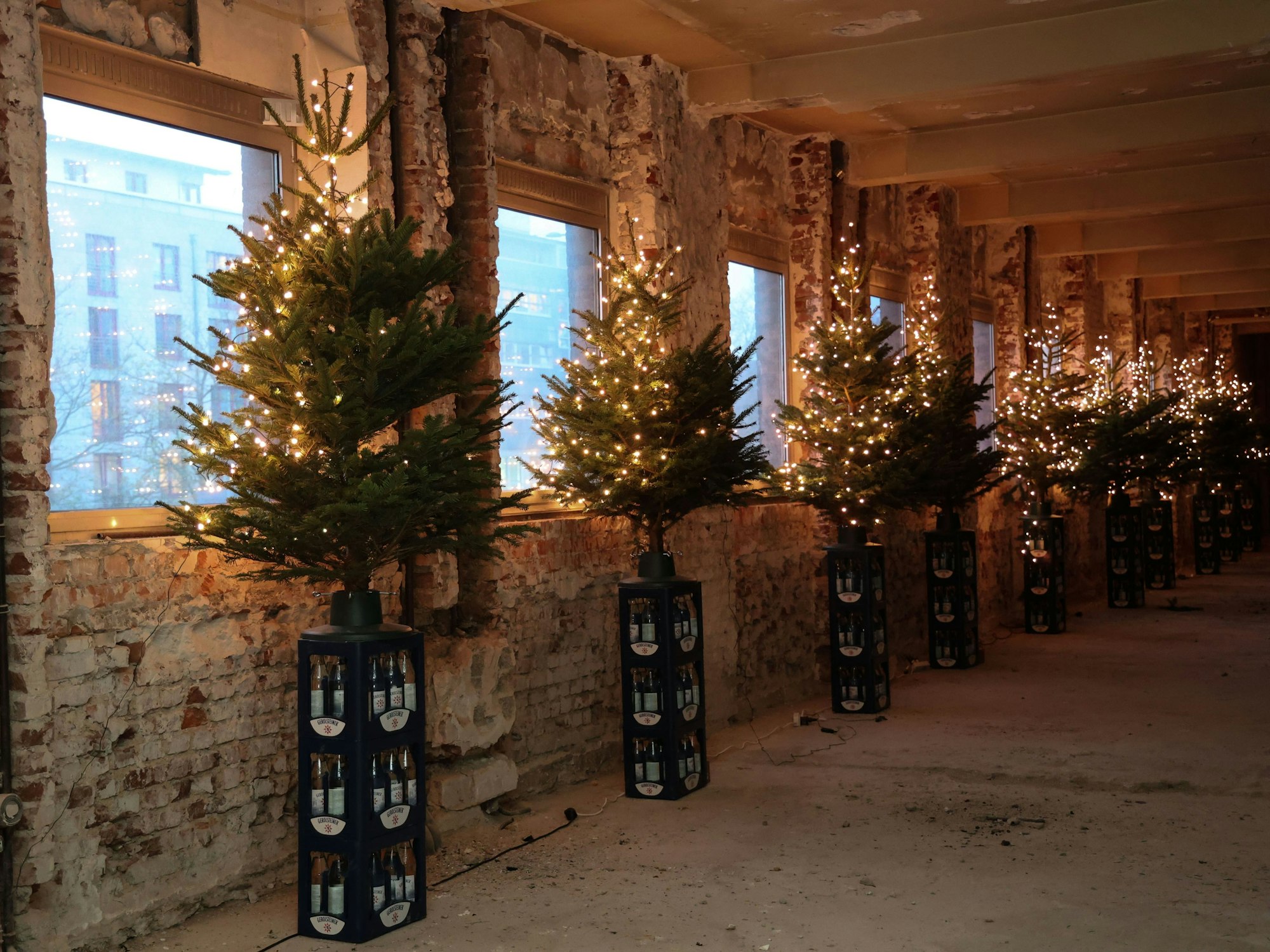 Die Weihnachtsbäume stehen im Gebäude auf Wasserkästen.