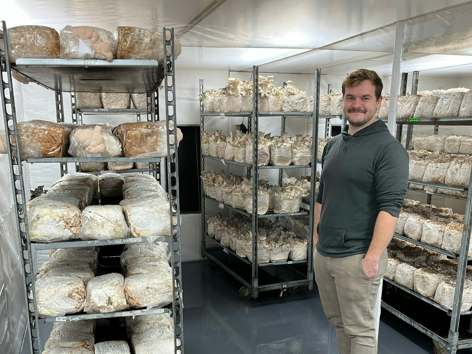 Pilzling-Geschäftsführer Christian Vetter will am Hansaring 350 Kilogramm Pilze pro Monat produzieren.