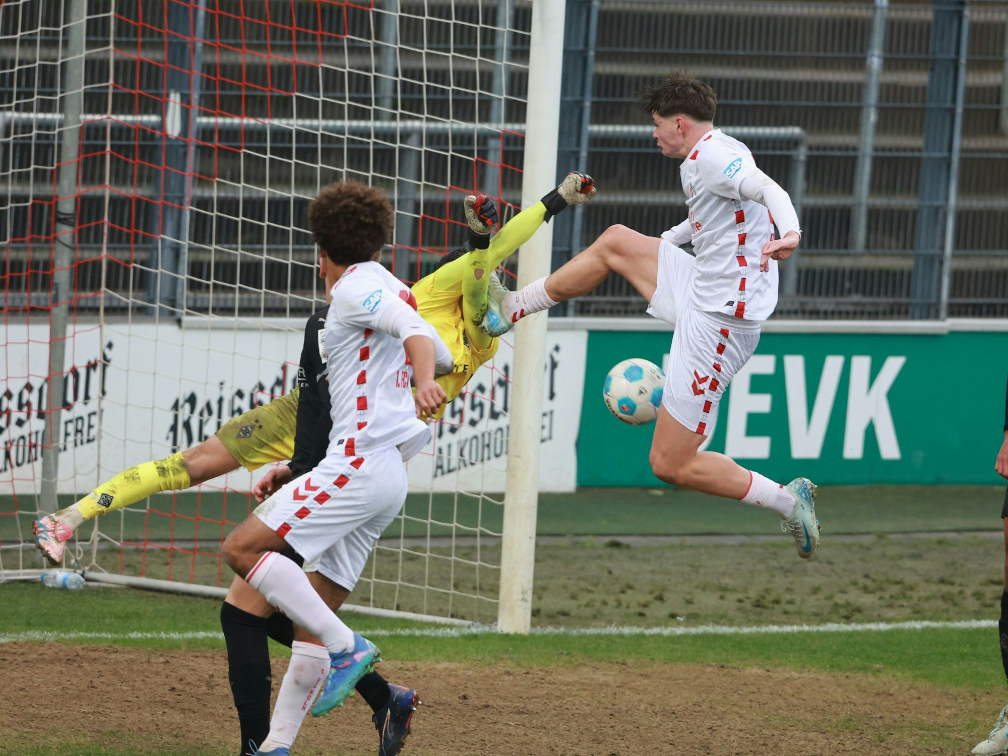 Kölns Jaka Cuber Potocnik trifft Keeper Maximilian Neutgens (Borussia Mönchengladbach II)