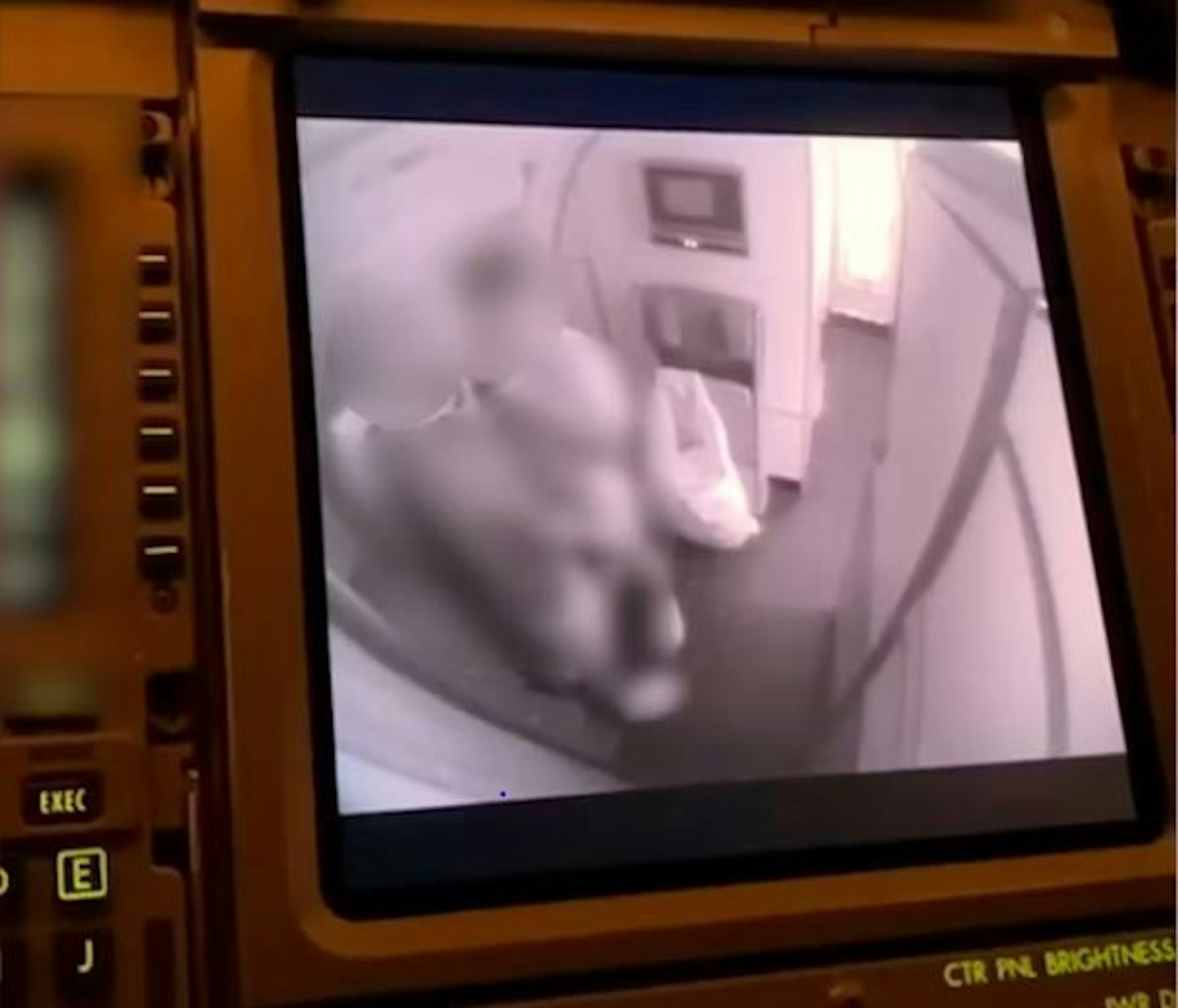 Das Foto zeigt einen Screenshot aus dem Video, das von der Cabin-Crew eines Swiss-Airline-Flugs aufgenommen und anschließend in privaten Gruppen verbreitet wurde.