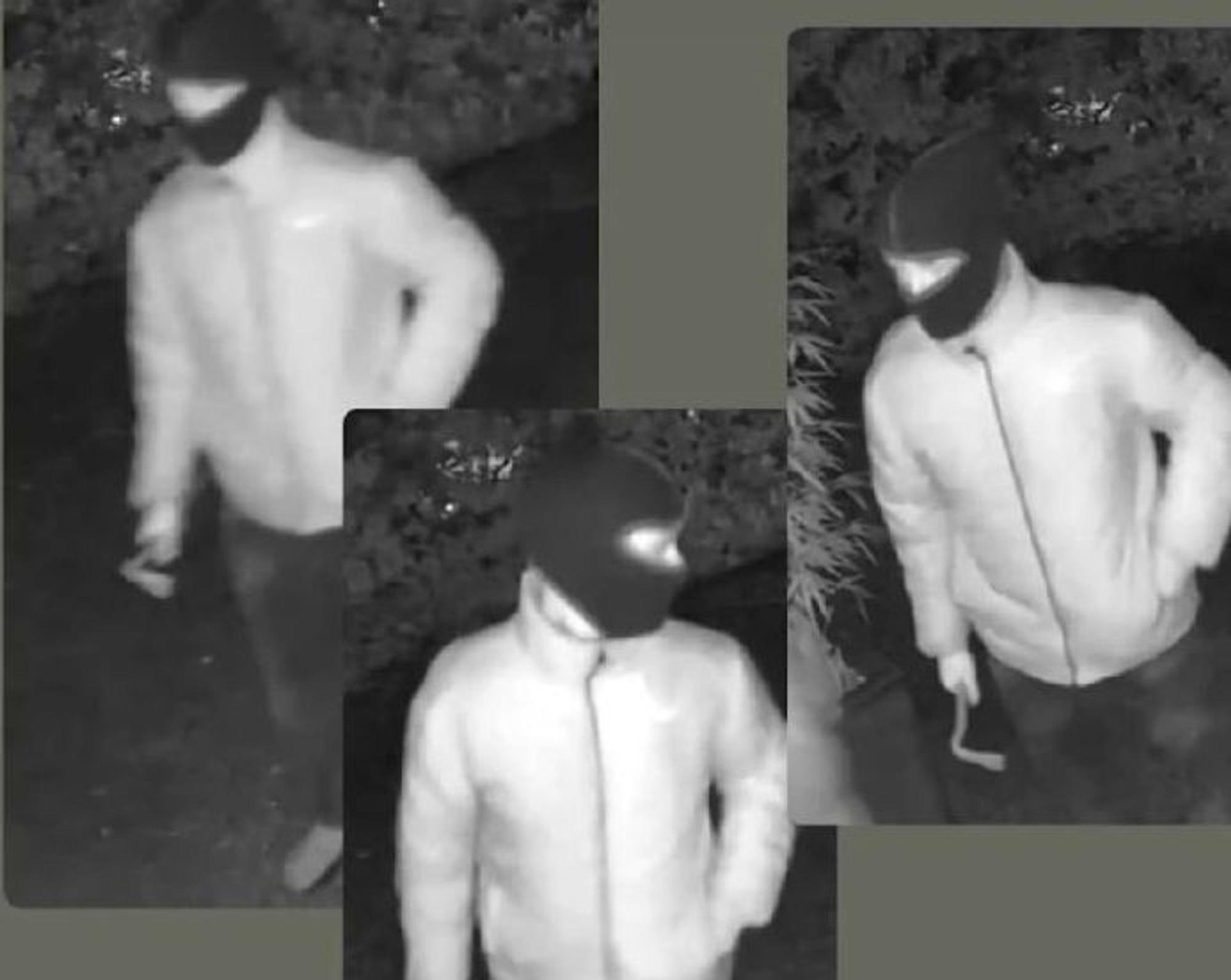 Einbruchsversuch bei Familie Adamyan