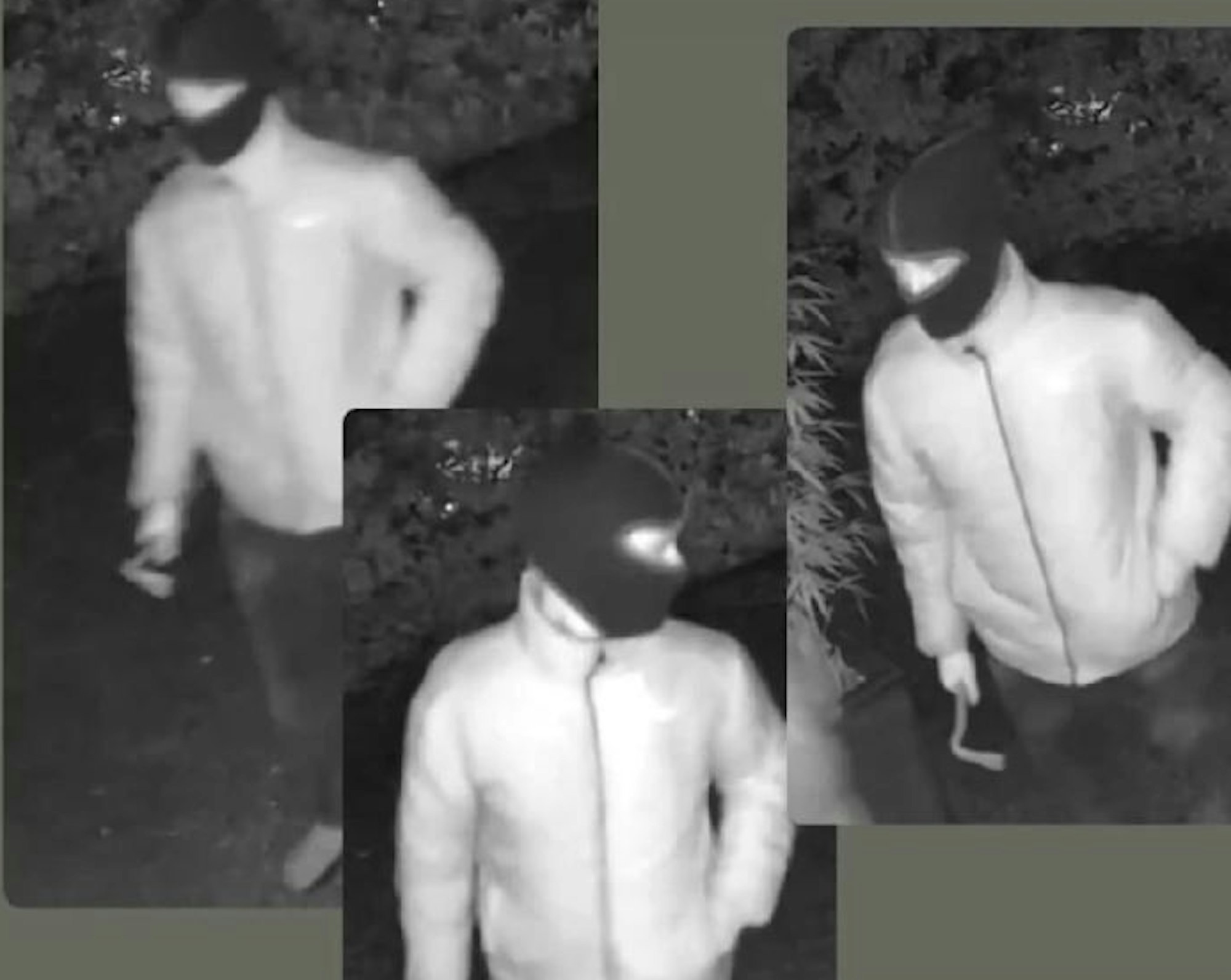 Einbruchsversuch bei Familie Adamyan