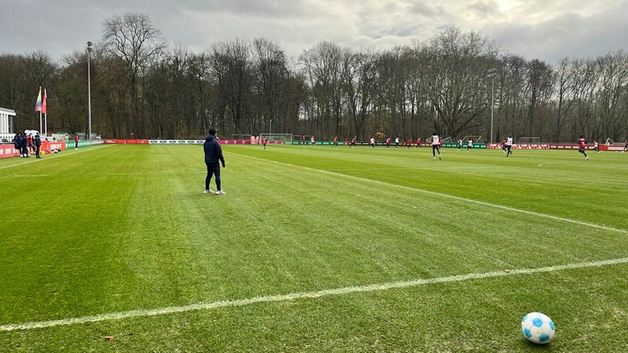 Training beim 1. FC Köln.