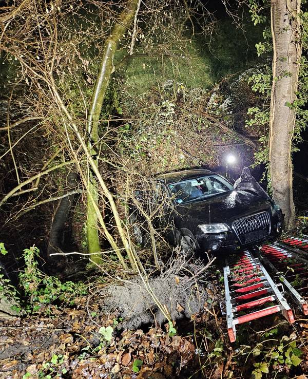 Auto hängt zwischen Bäumen in einer Böschung fest.