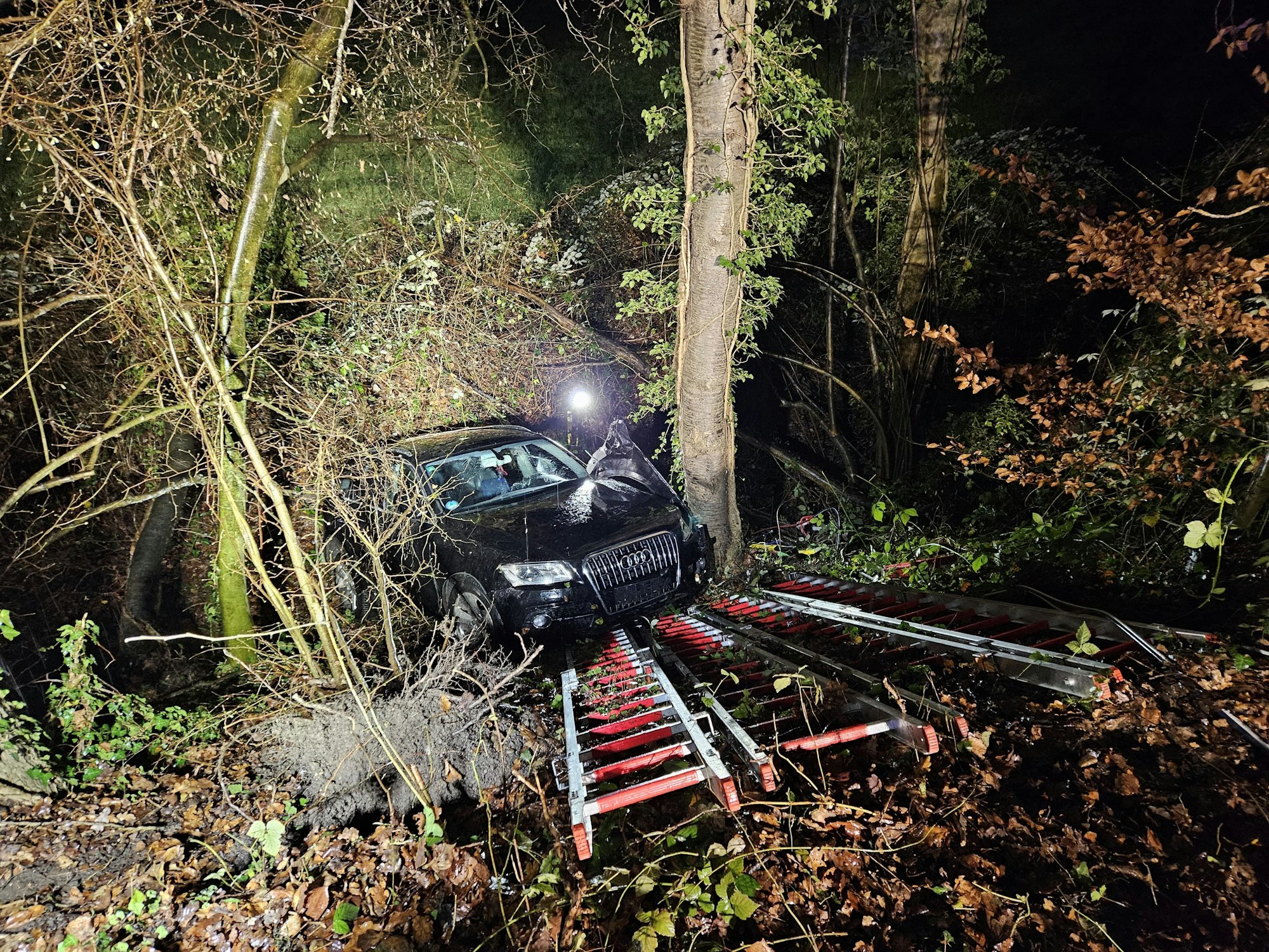 Auto hängt zwischen Bäumen in einer Böschung fest.