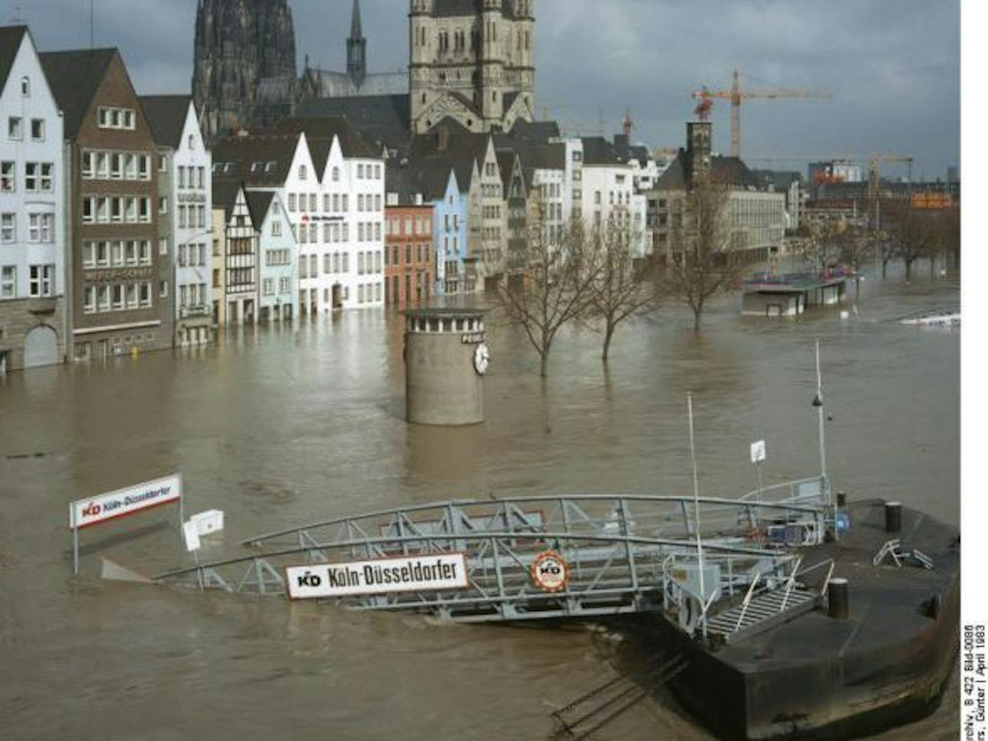 Abgesoffen: Die Kölner Altstadt im 31. Mai 1983. Der neue Rheingarten steht unter Wasser.