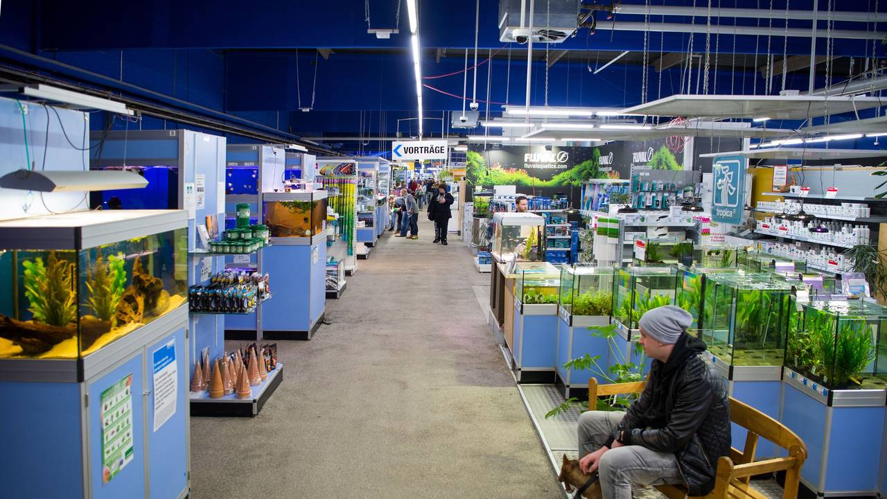 Mehrere Aquarien mit Wasserpflanzen und Fischen stehen im Zoogeschäft Zajac in Duisburg (Archivbild aus dem Jahr 2016).