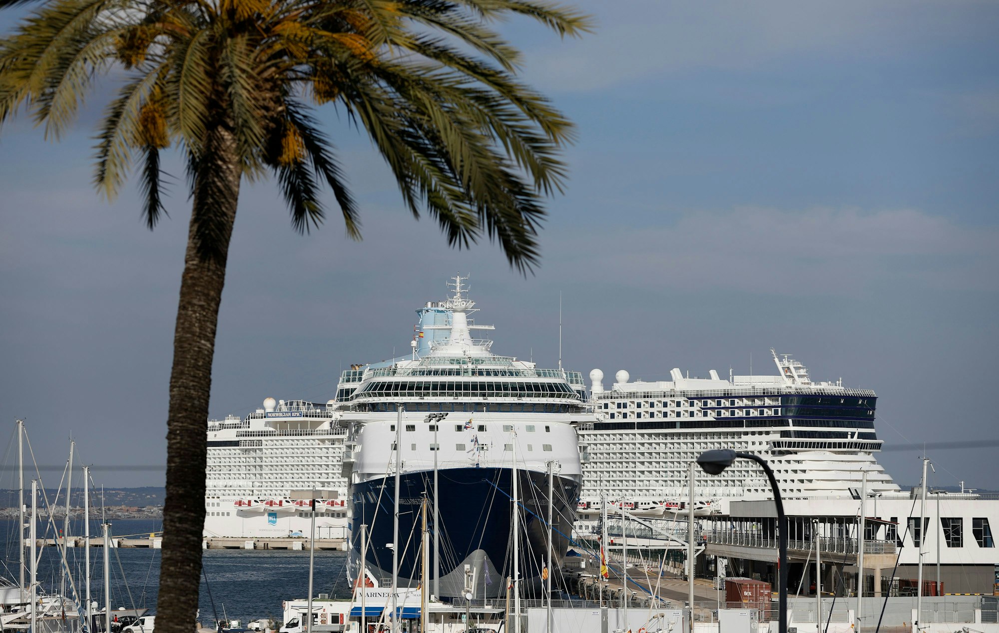 Die Marella Discovery 2 und die Norwegian Epic haben im Hafen von Palma auf Mallorca fest gemacht (Symbolfoto).