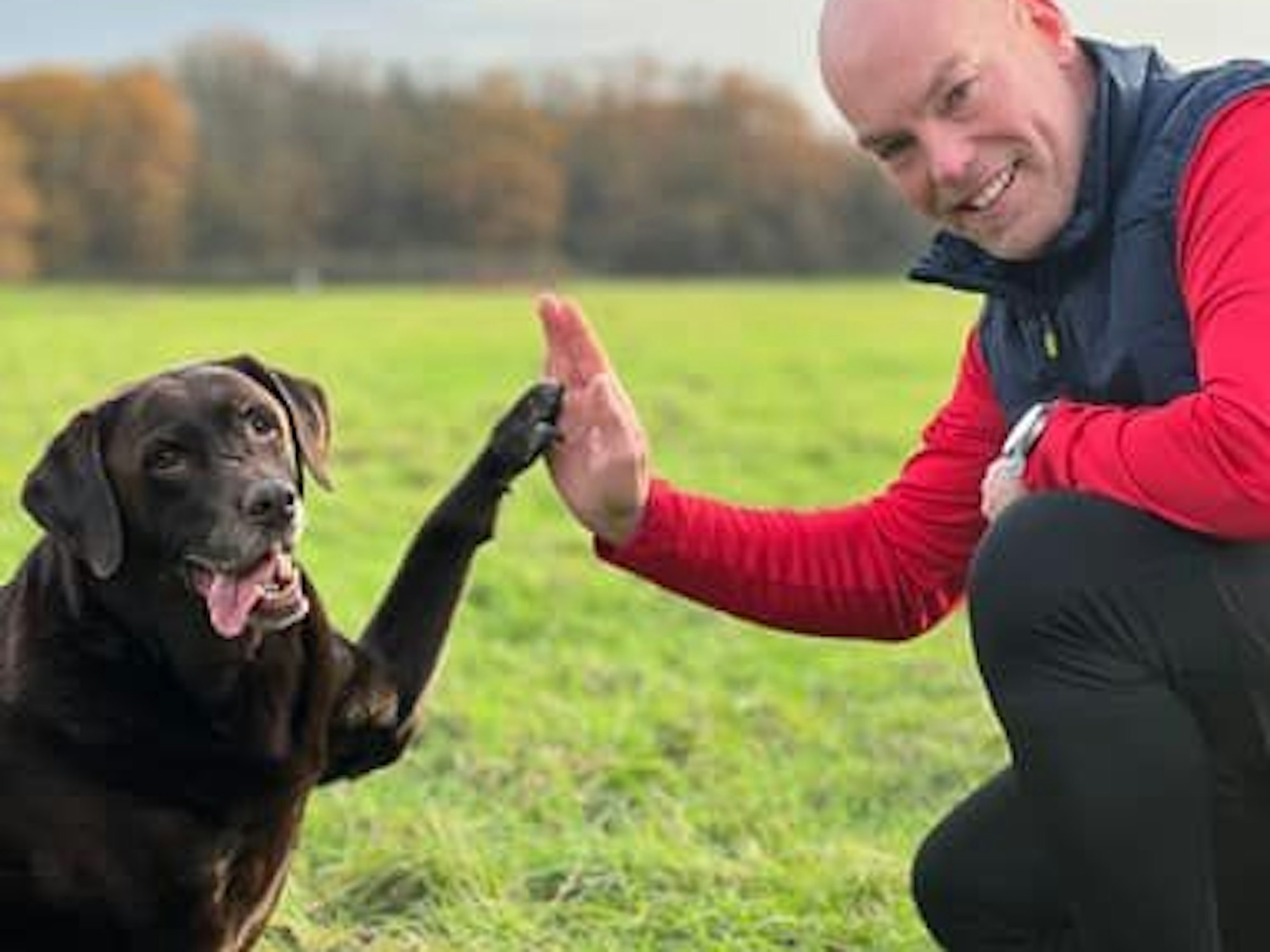 Ein Mann klatscht mit einem Hund ab.