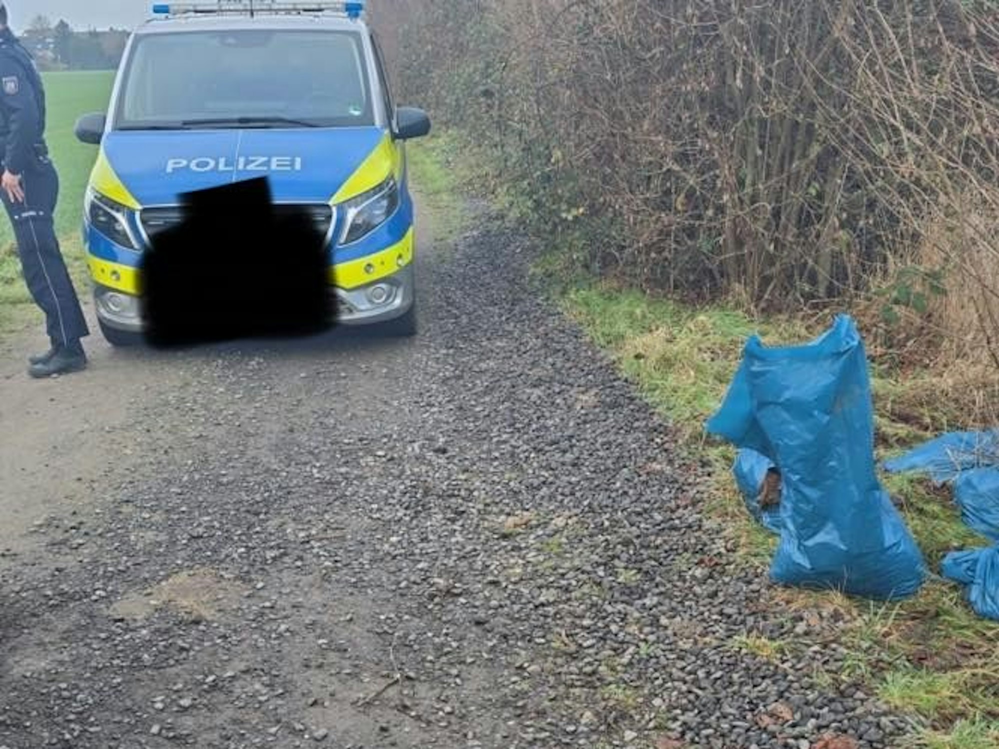 Neben einem unbefestigten Weg befinden sich mehrere Müllsäcke, auf dem Weg stehen ein Streifenwagen und ein Polizist.
