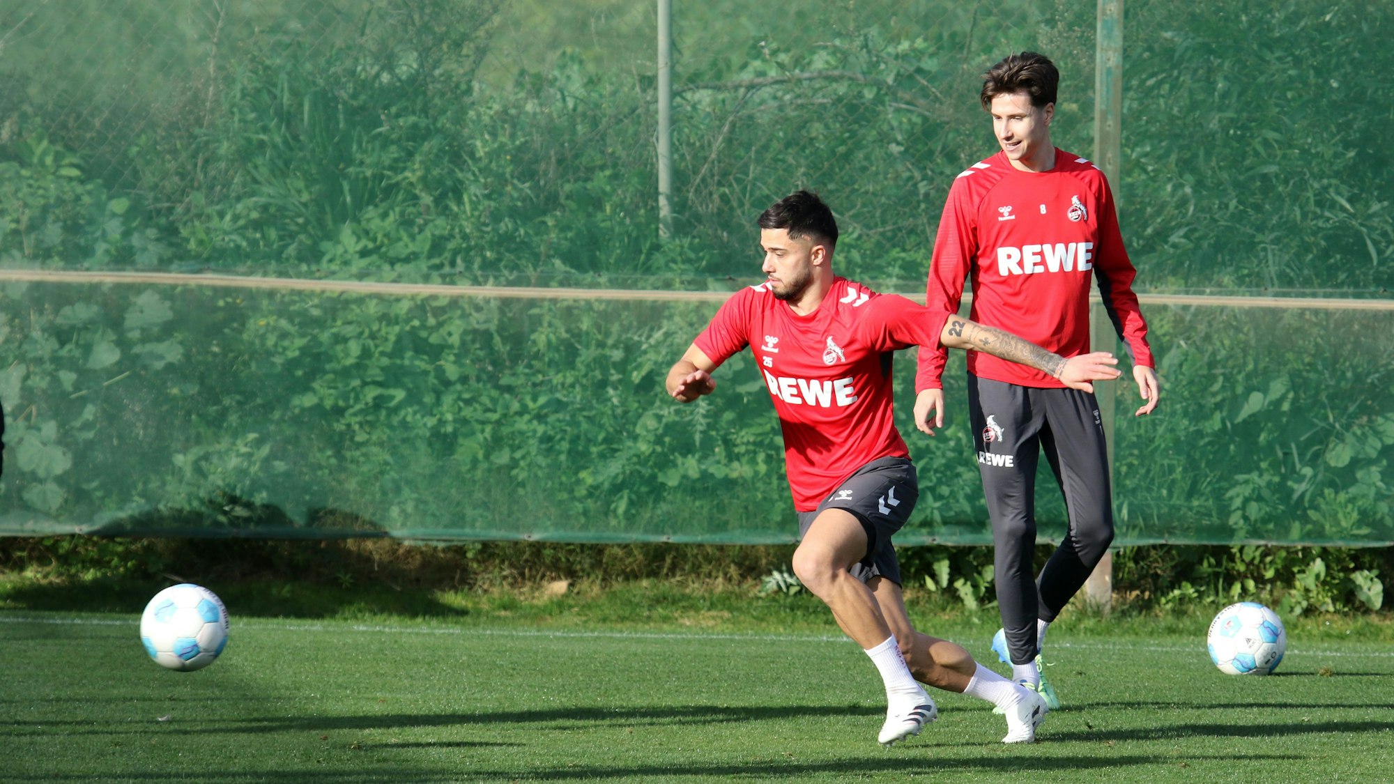 Jusuf Gazibegovic bei seiner ersten Einheit für den 1. FC Köln.