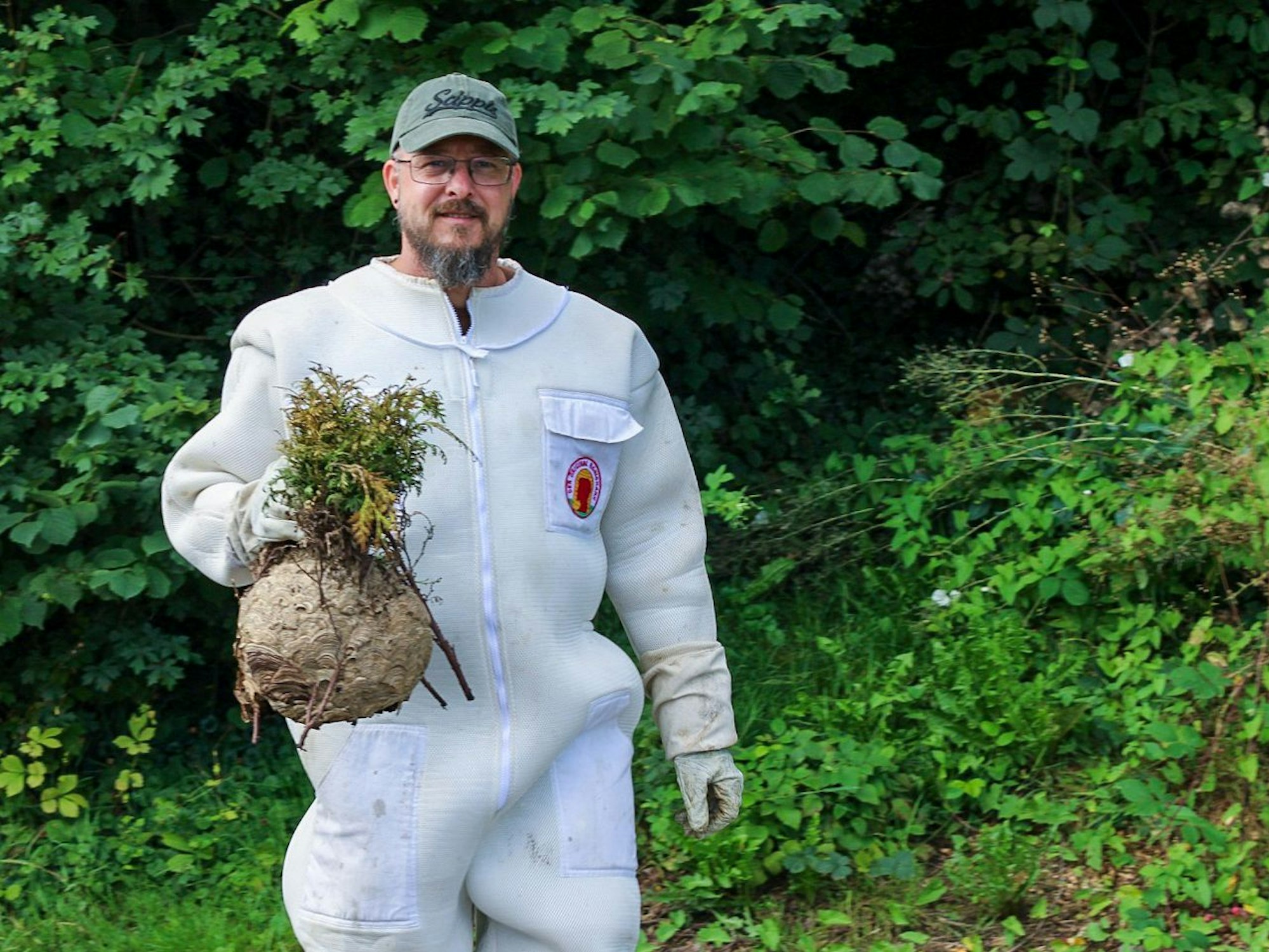 Ein Mann in einem Schutzanzug hält ein entferntes kugelrundes Nest der asiatischen Hornisse in der Hand.