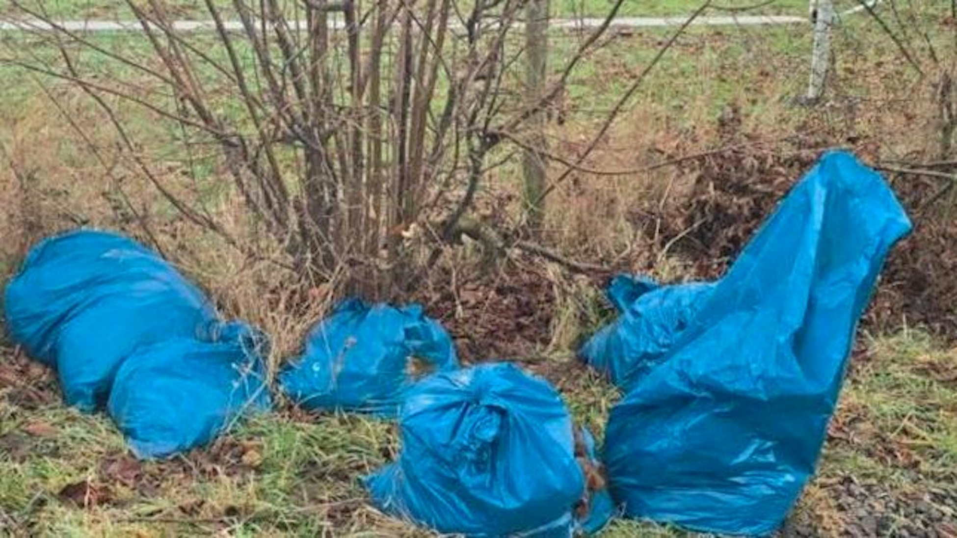 Sieben Müllsäcke mit Tierkadavern wurde an einem Weg in Köln-Meschenich entdeckt.