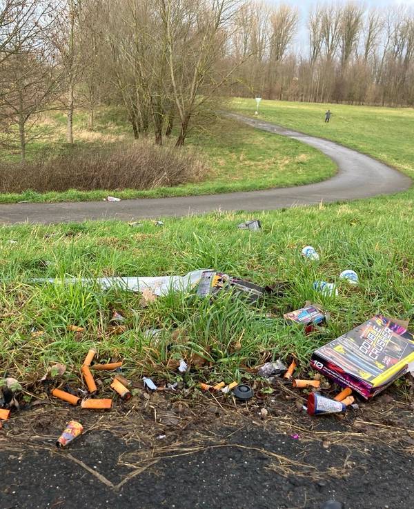 Abgebrannte Böller und Raketen liegen auf einer Wiese.