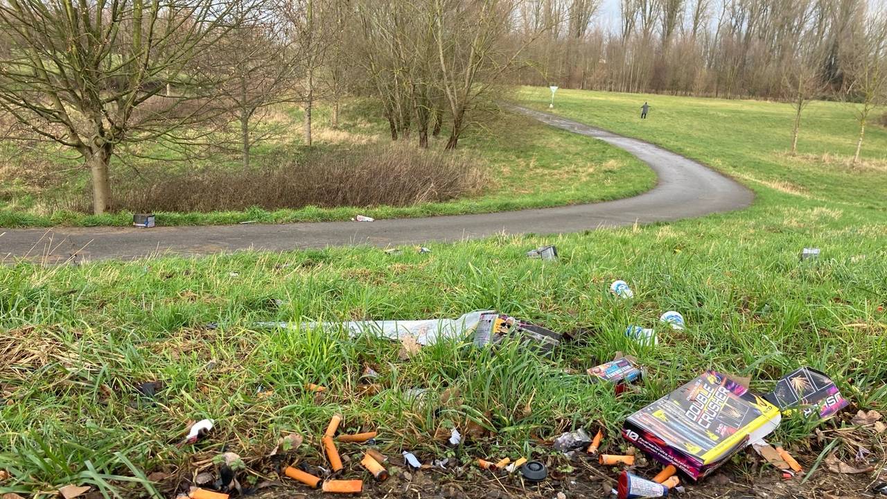 Abgebrannte Böller und Raketen liegen auf einer Wiese.
