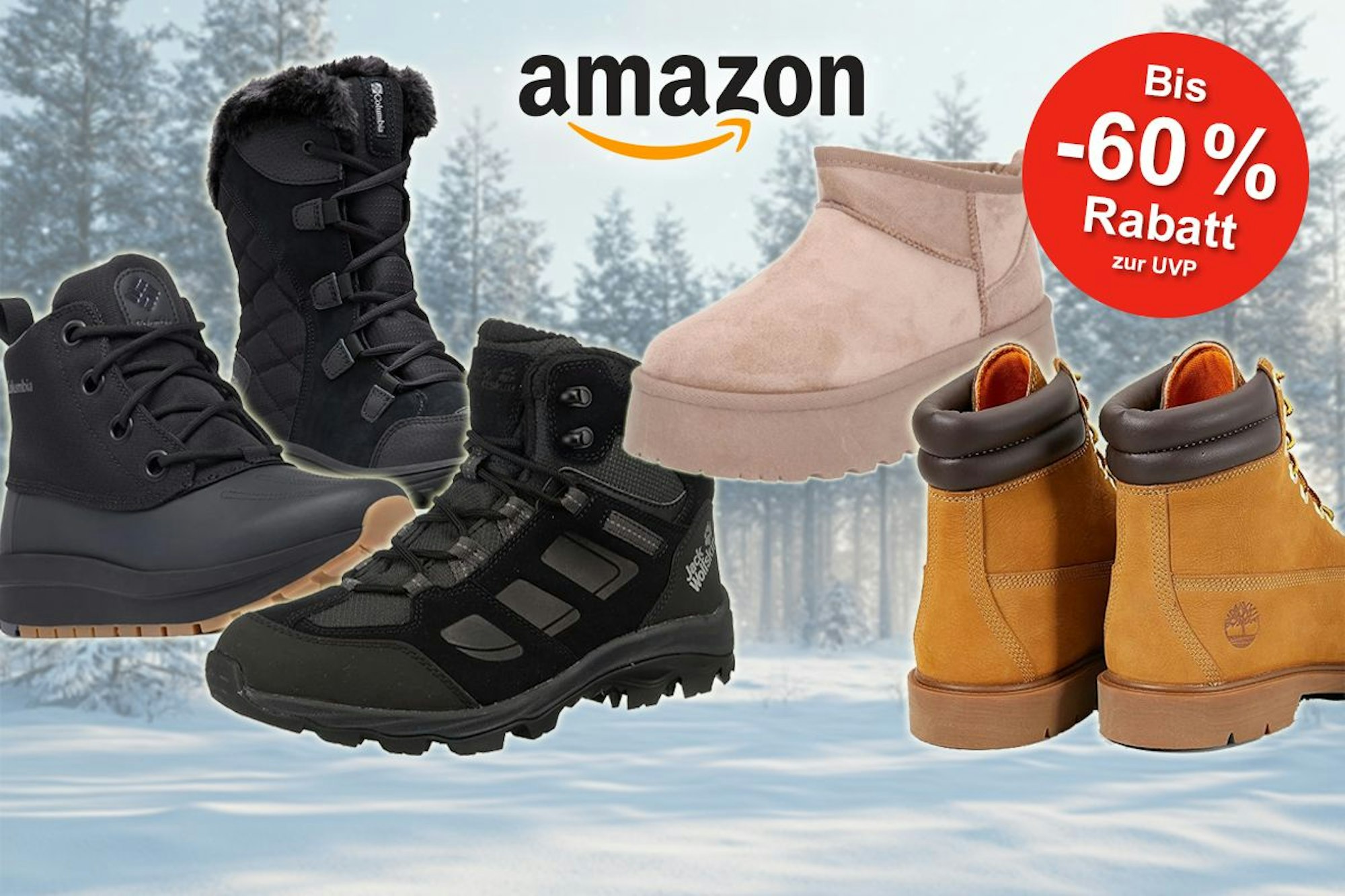 Auf dem Bild sind verschiedene Winterschuhe angeordnet. Im Hintergrund ist eine Schneelandschaft zu sehen.