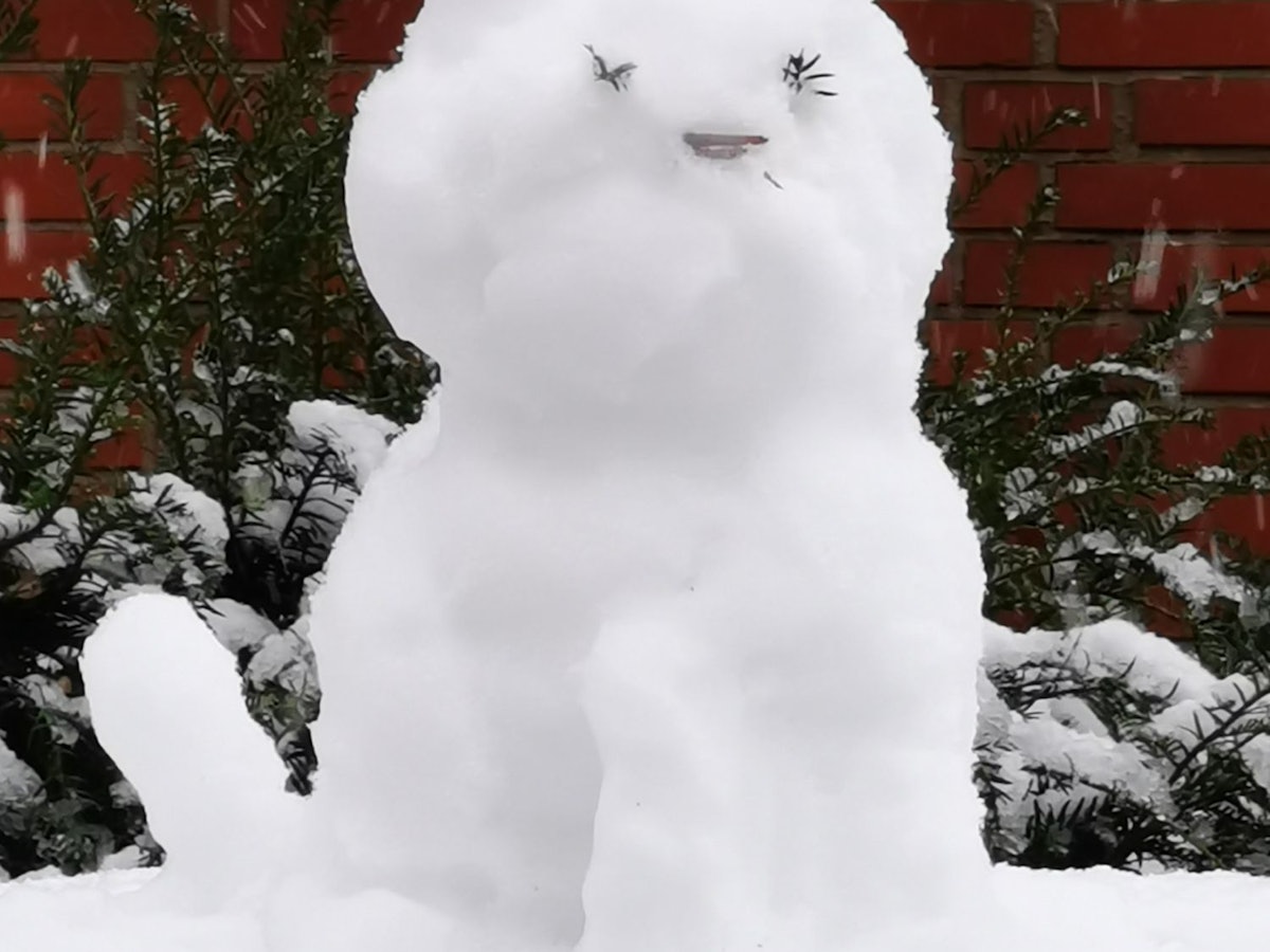 Eine Schneekatze im Veedel