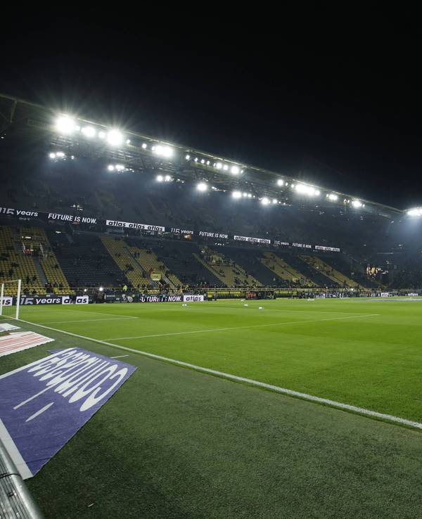 Der Rasen im Signal-Iduna-Park.