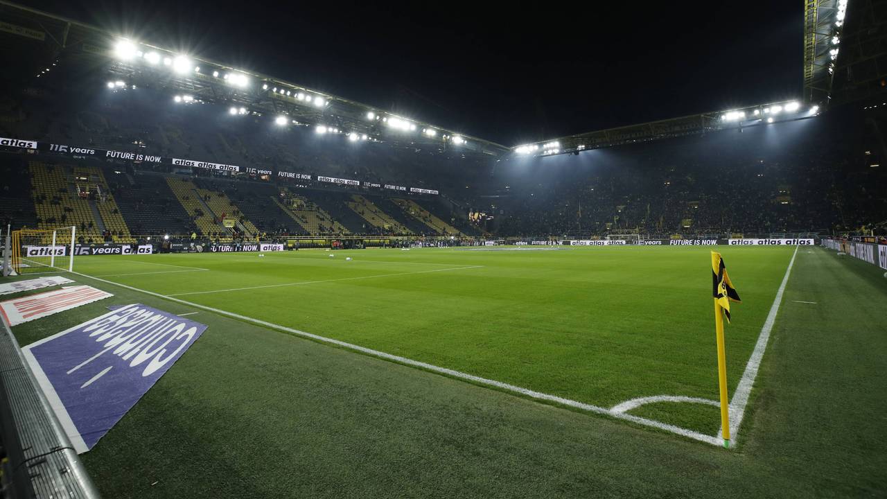 Der Rasen im Signal-Iduna-Park.