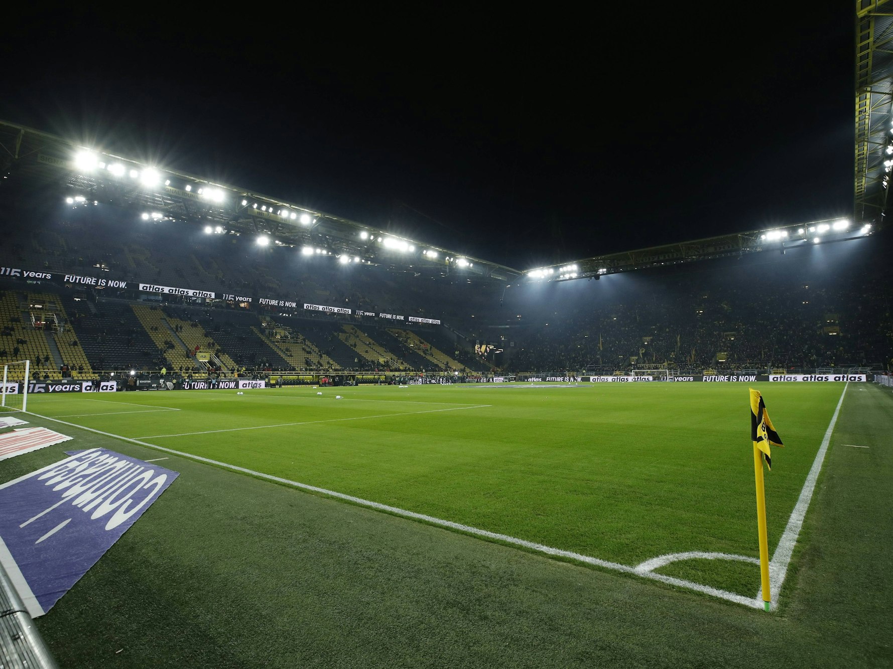 Der Rasen im Signal-Iduna-Park.