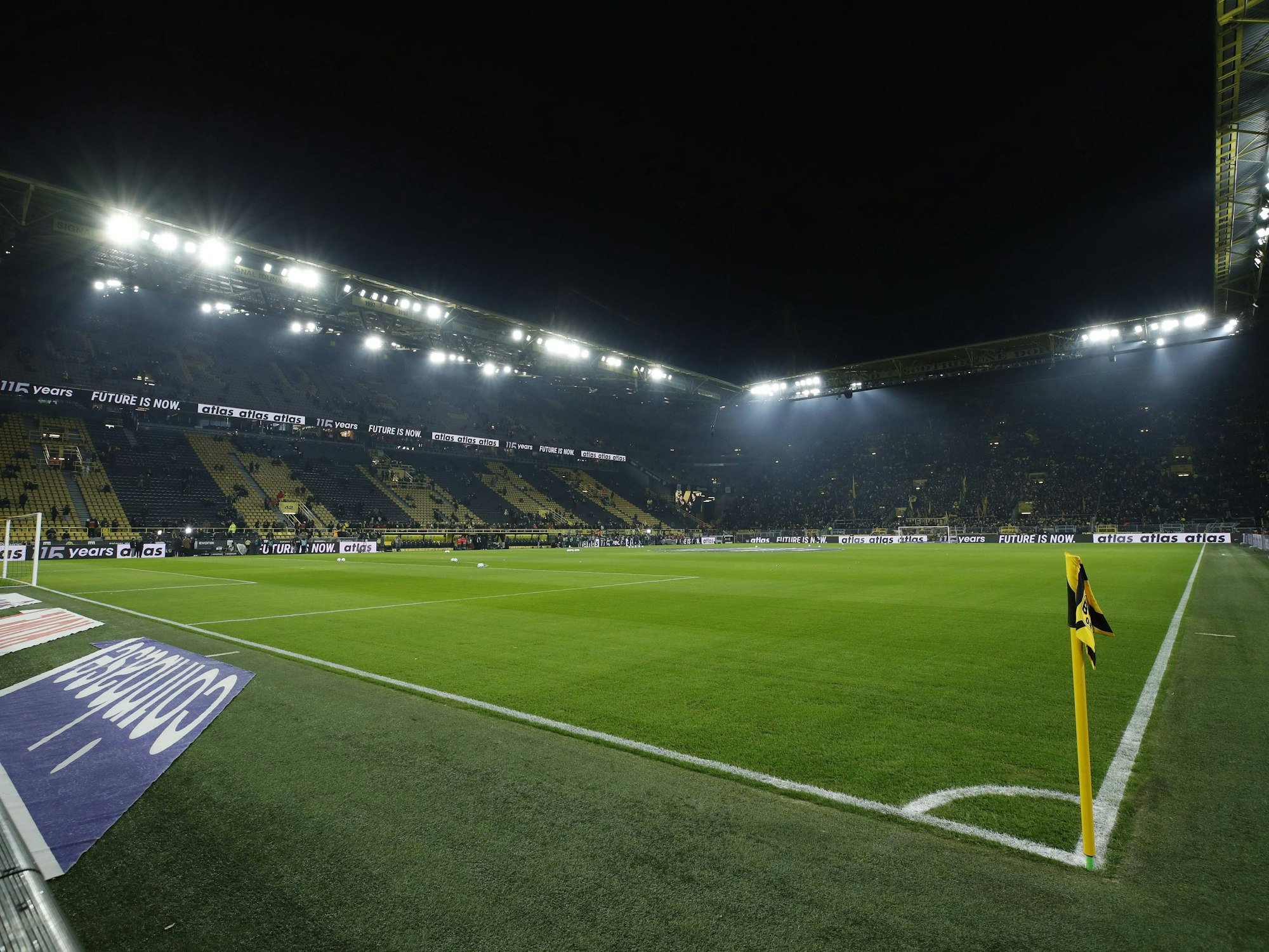 Der Rasen im Signal-Iduna-Park.