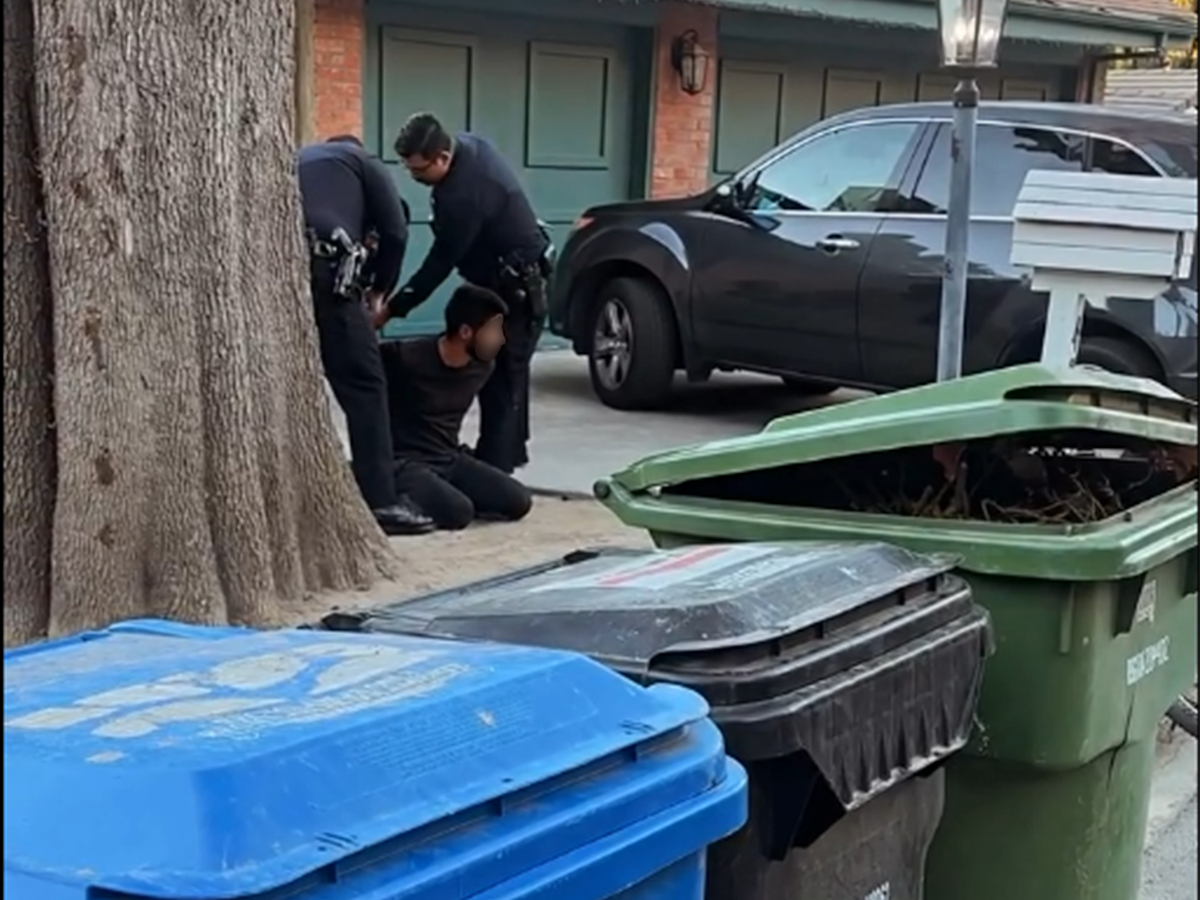 Die Polizei hat einen Verdächtigen festgenommen, der mutmaßlich für die Brandstiftung in einem der Brände in Los Angeles verantwortlich ist.