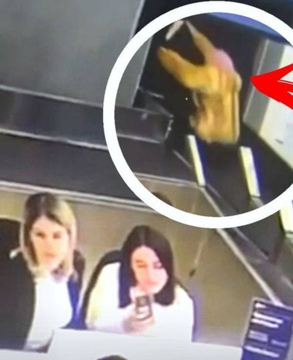 Eine Frau verwechselte am Flughafen von Beslan (Russland) das Gepäckband mit einem Laufband.