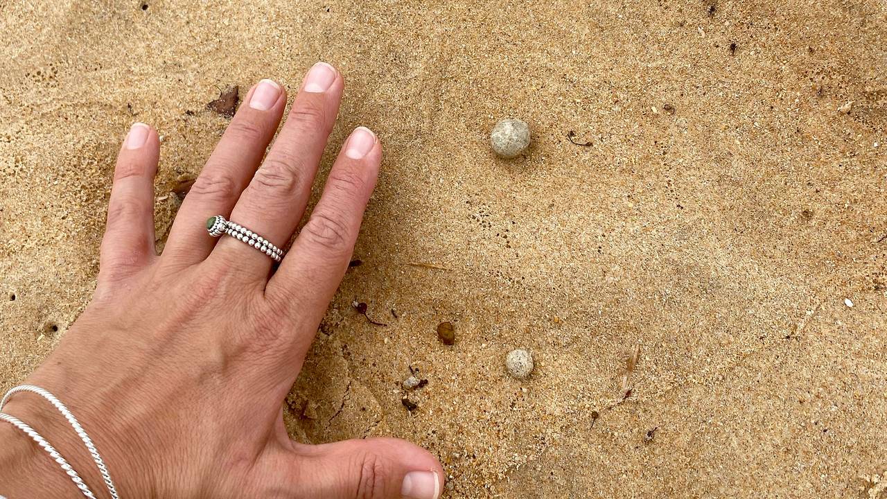 An mehreren Stränden in Australien (hier der berühmte Surfstrand Manly Beach) wurden mysteriöse Kugeln im Sand entdeckt.