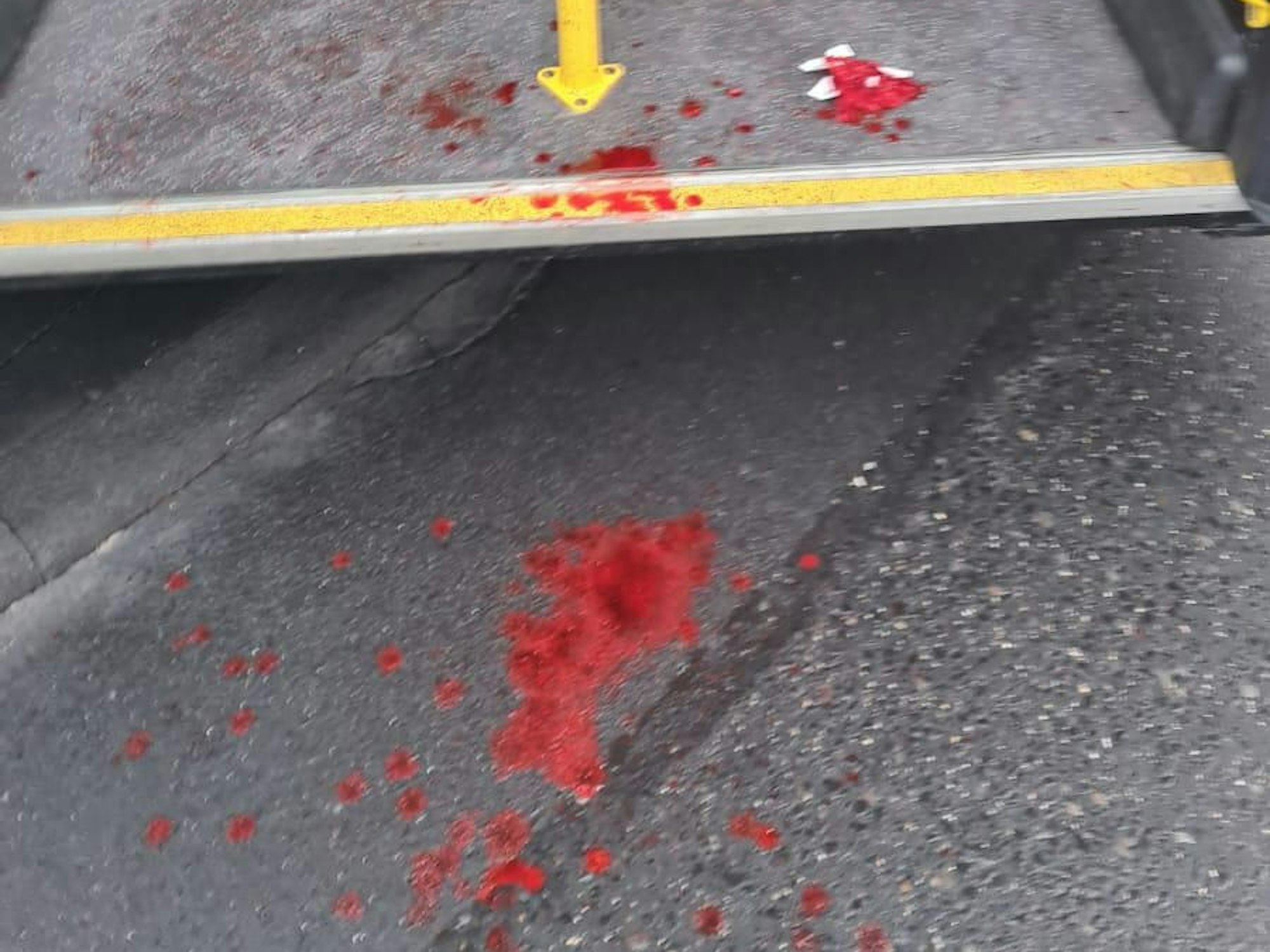 Blutspuren in einem KVB-Bus der Linie 157