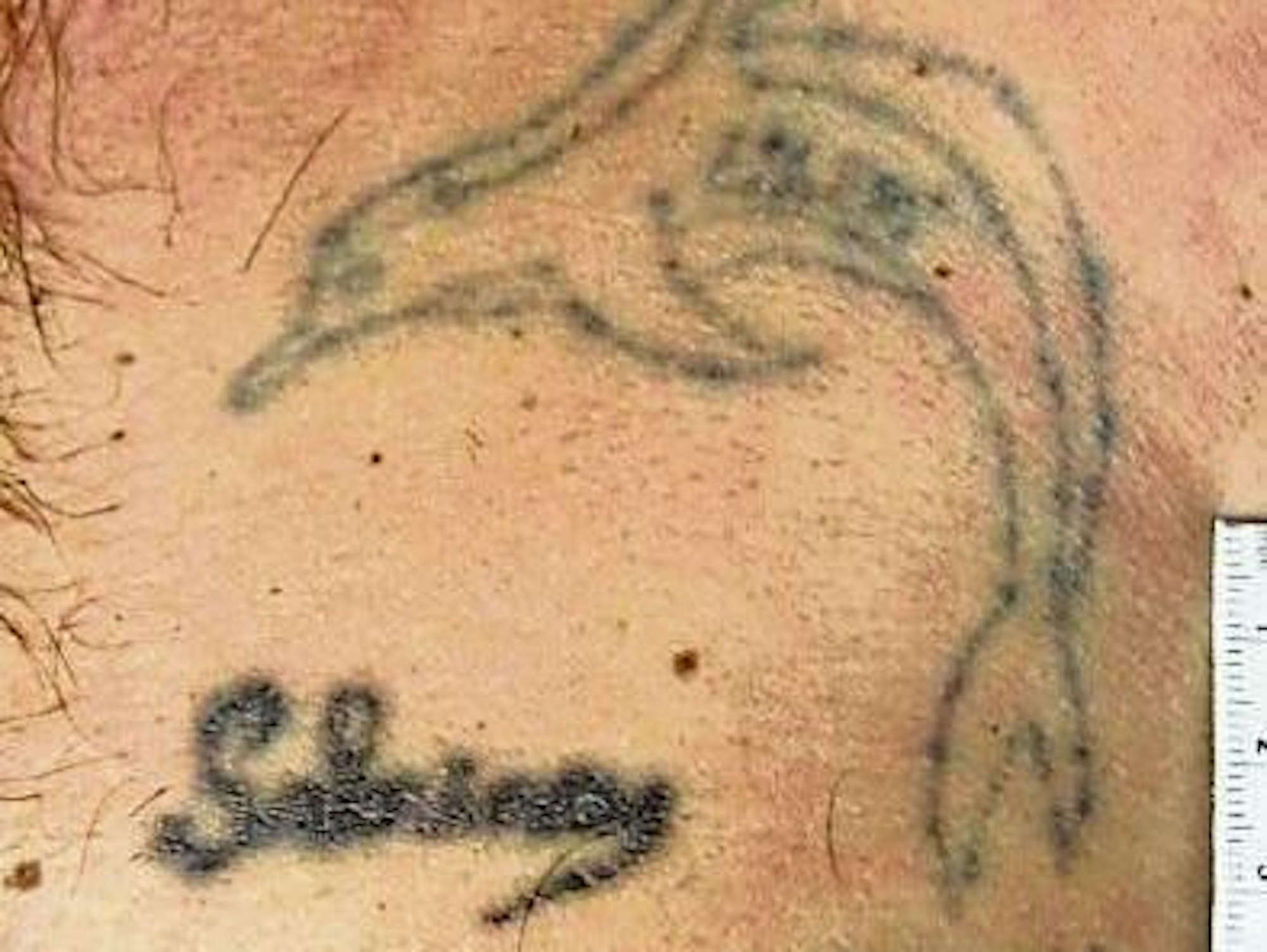 Auf Haut ist ein Delfin tätowiert.