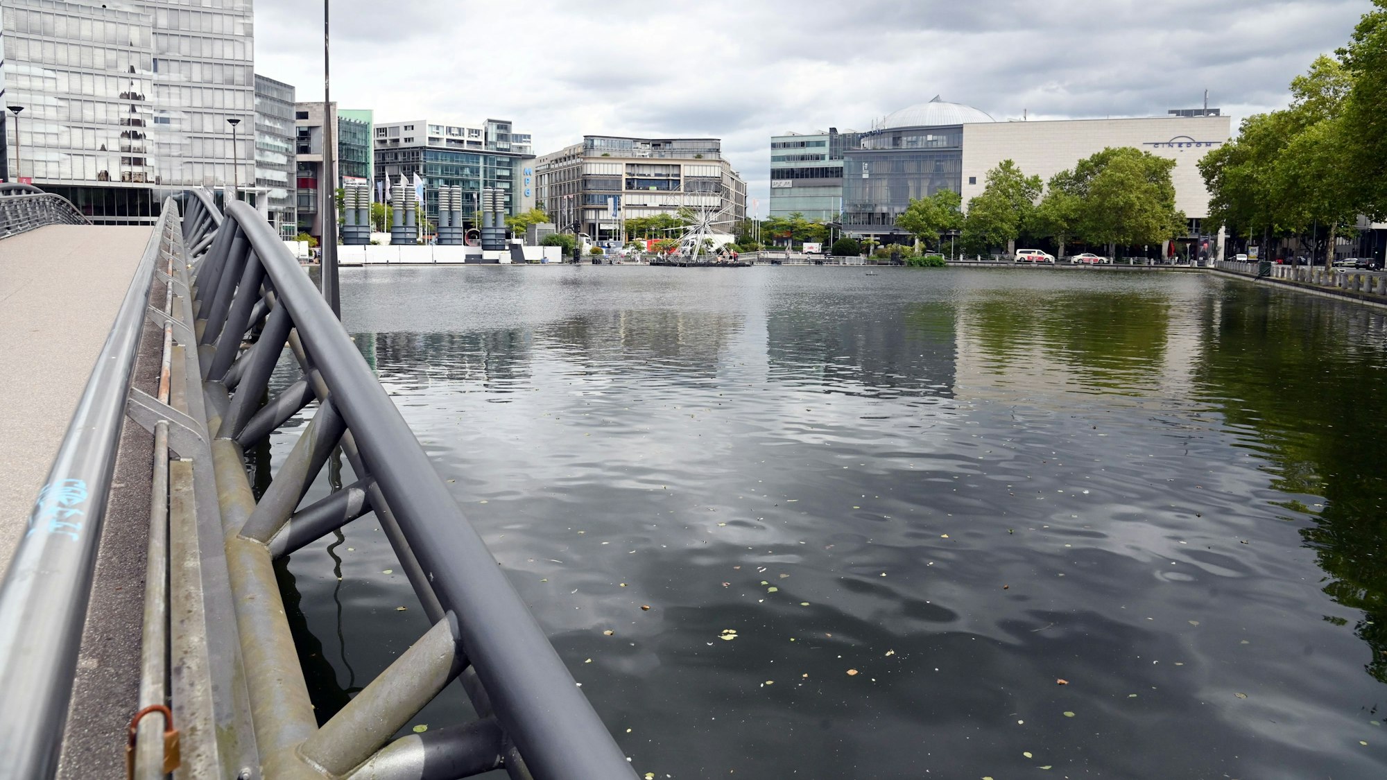 Der Weiher am MediaPark. Immer wieder gibt es hier Problem mit Wildfütterern.