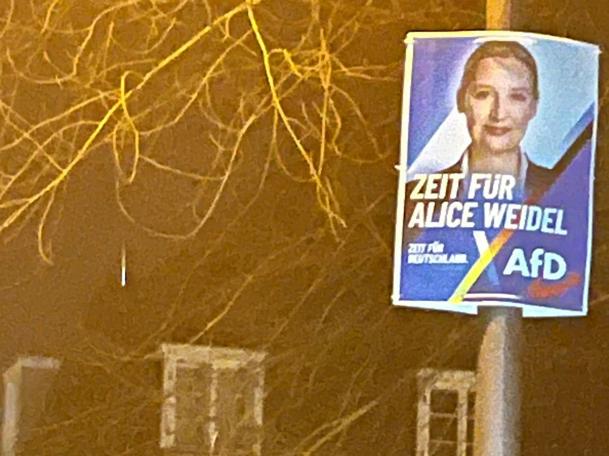 Ein Wahlplakat mit Alice Weidel