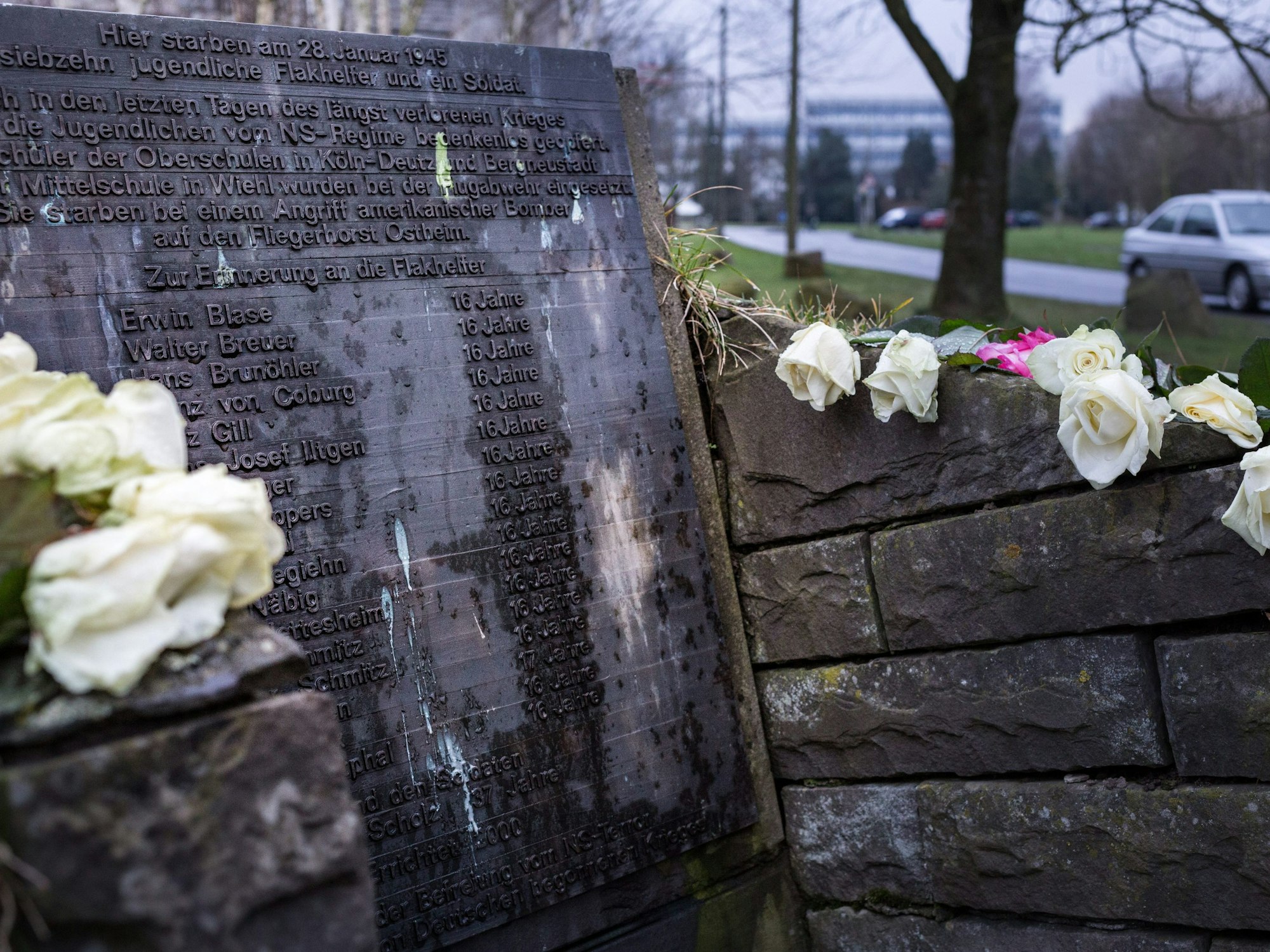 Weisse Rosen liegen auf einem Denkmal.
