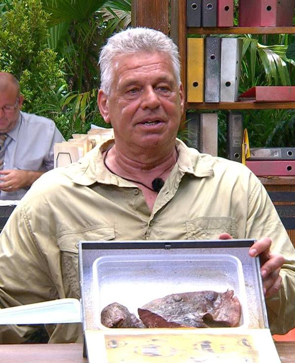 Jürgen Hingsen im Dschungelcamp