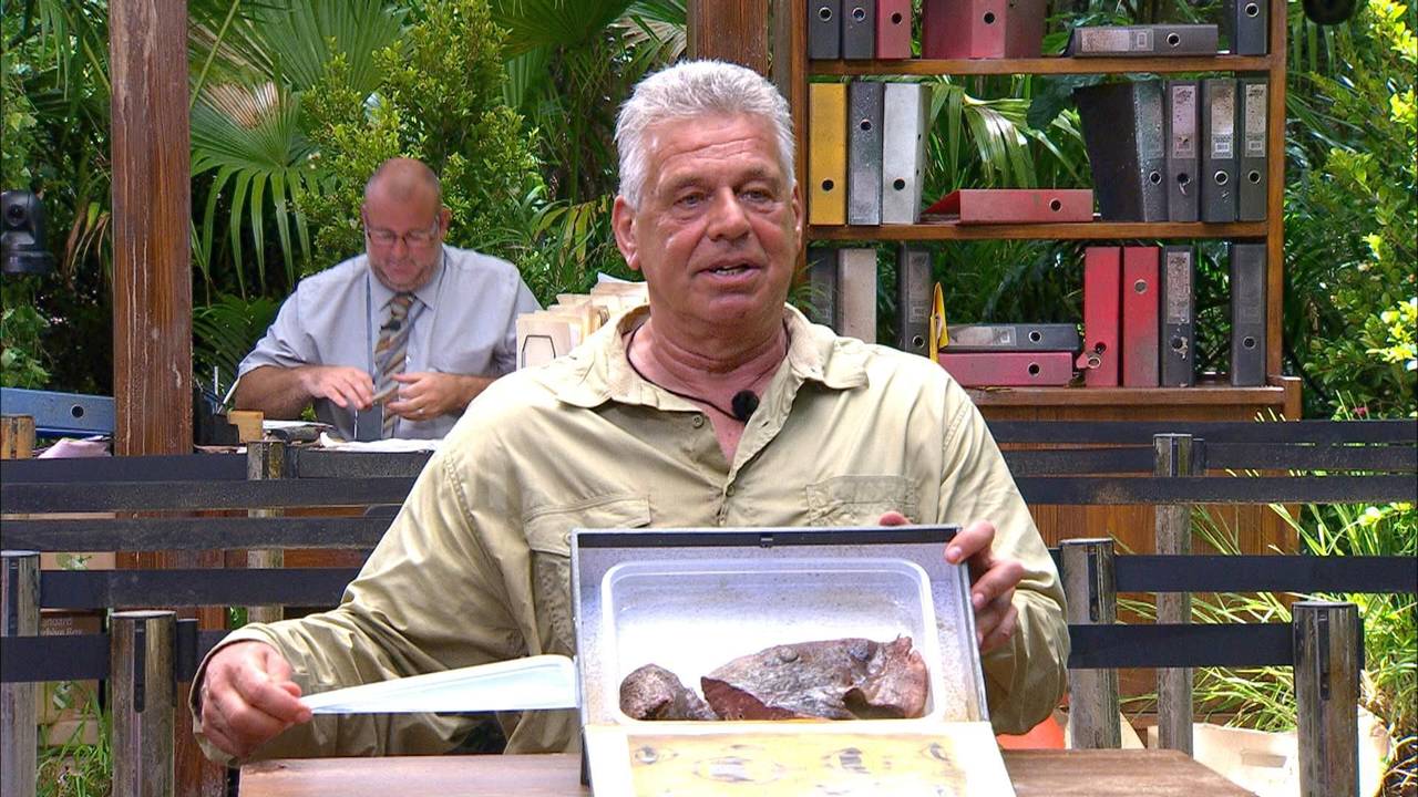 Jürgen Hingsen im Dschungelcamp