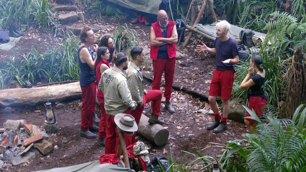 Die Dschungelcamp-Promis diskutieren miteinander.