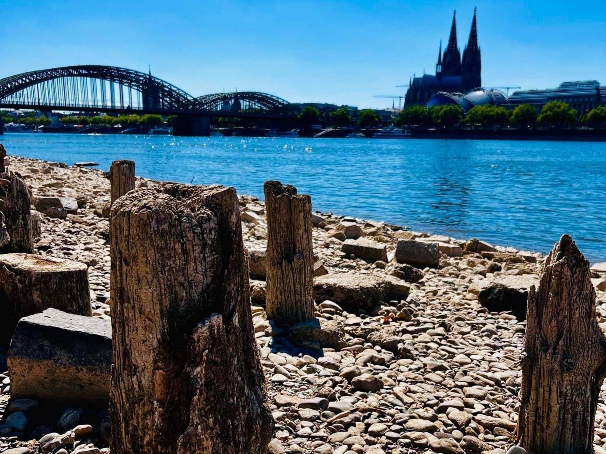Am Ufer kommen die hölzernen Überreste der ehemaligen Patton-Brücke zum Vorschein. Aber nur bei Niedrigwasser.