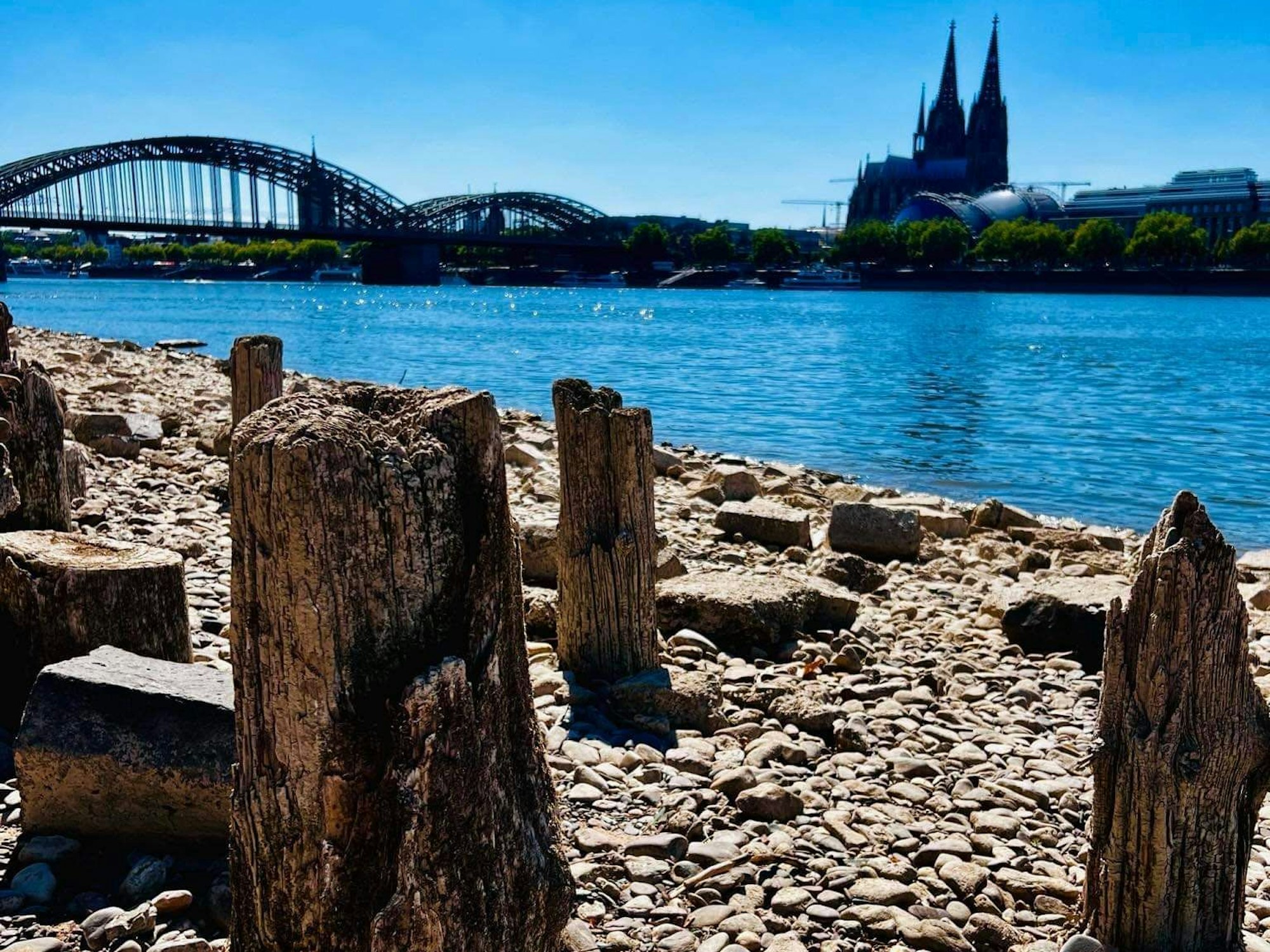 Am Ufer kommen die hölzernen Überreste der ehemaligen Patton-Brücke zum Vorschein. Aber nur bei Niedrigwasser.