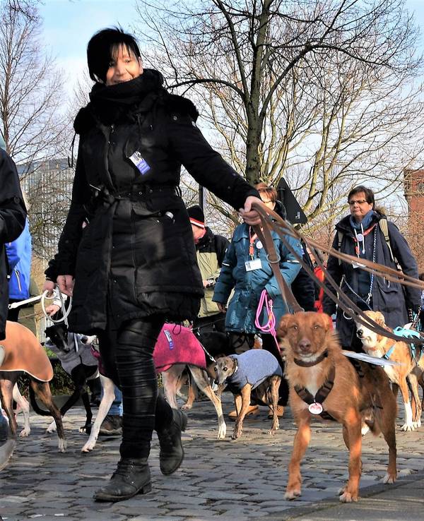 Menschen laufen mit Hunden an der Leine bei einer Kundgebung.