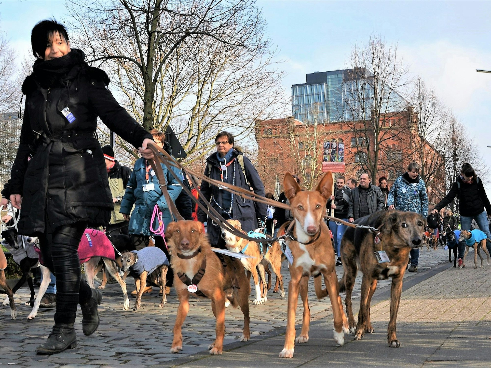Menschen laufen mit Hunden an der Leine bei einer Kundgebung.