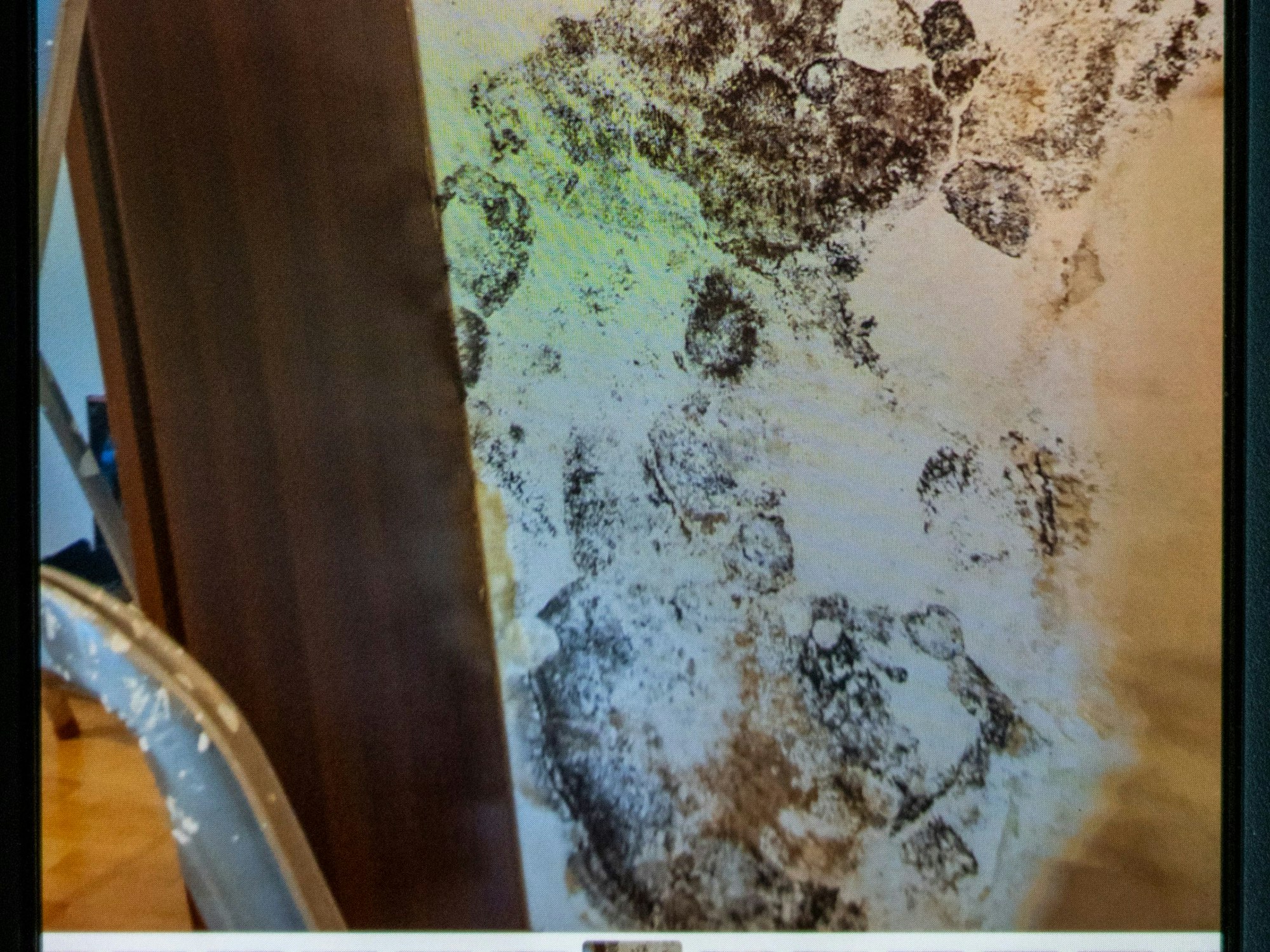 Eine verschimmelte Wand hinter einem Schrank.