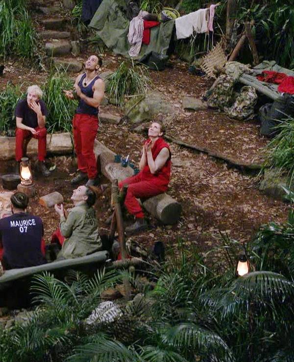 Alle zwölf Dschungelcamp-Teilnehmenden sitzen am Lagerfeuer.