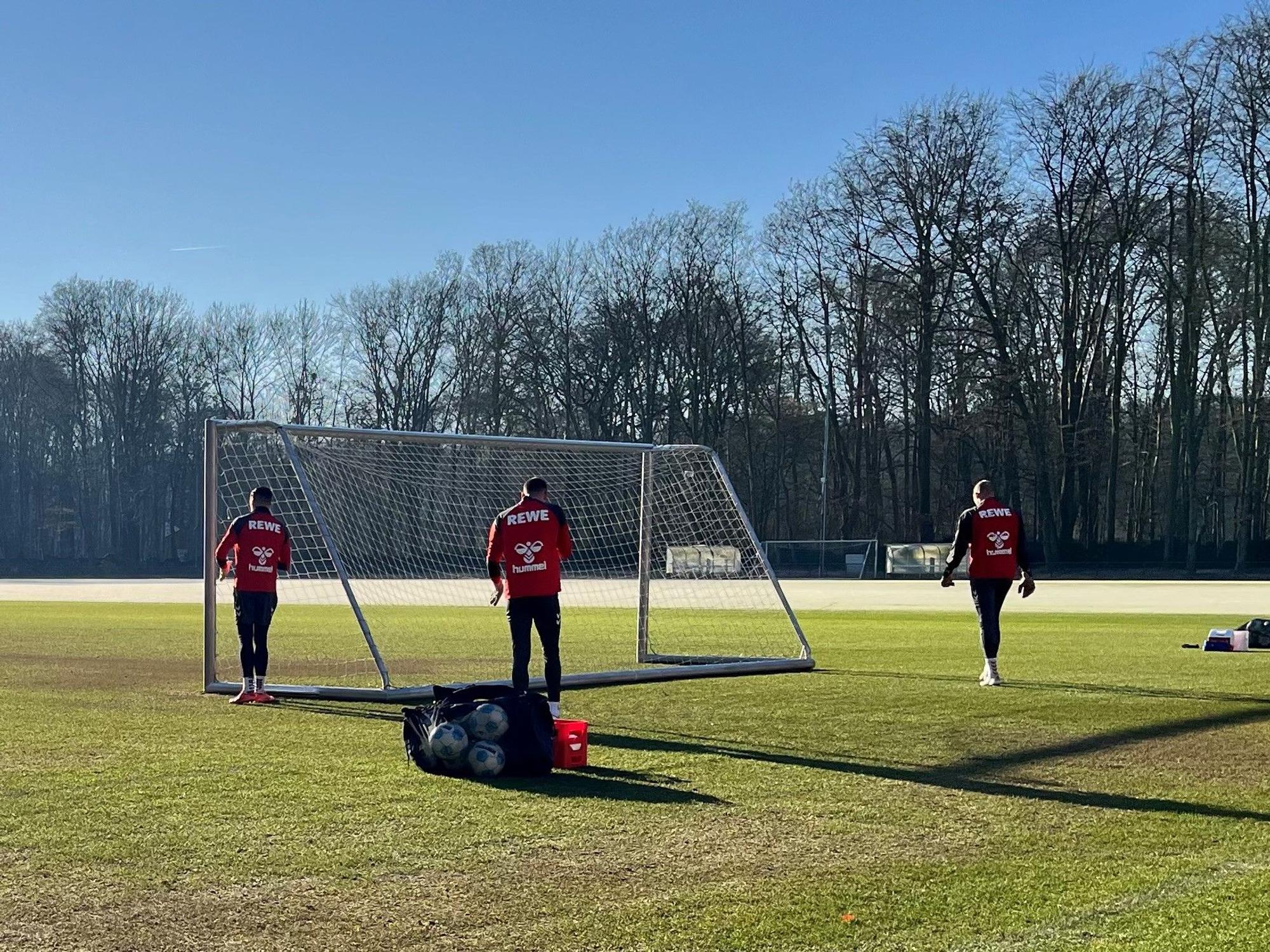 FC-Training auf Platz 7 am Geißbockheim.