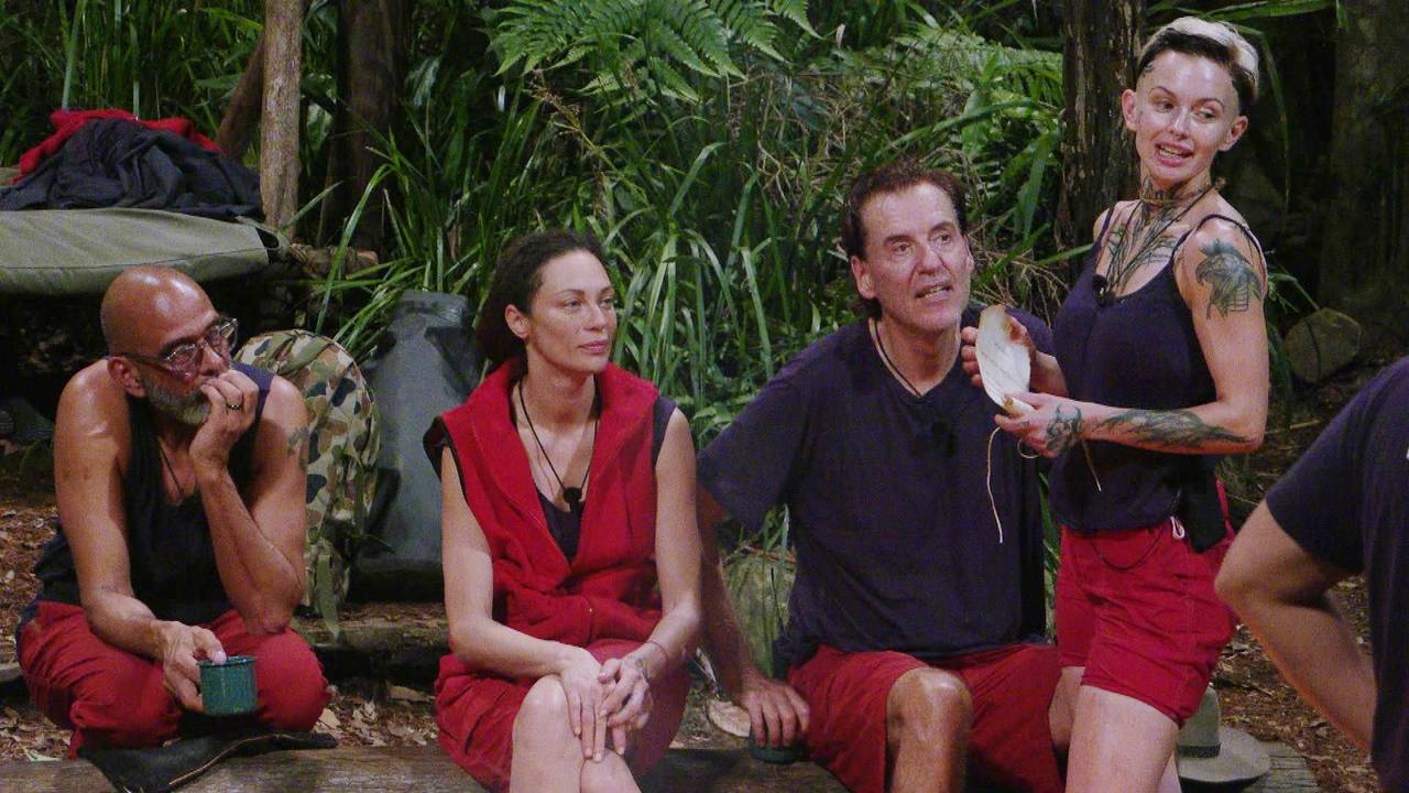 Die Dschungelcamp-Stars im Gespräch.
