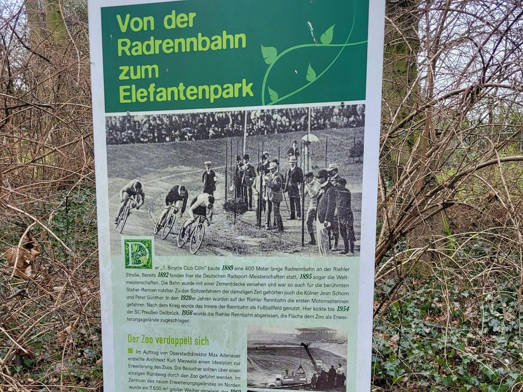 Eine Tafel im Kölner Zoo erklärt die Geschichte des Elefantenparks.