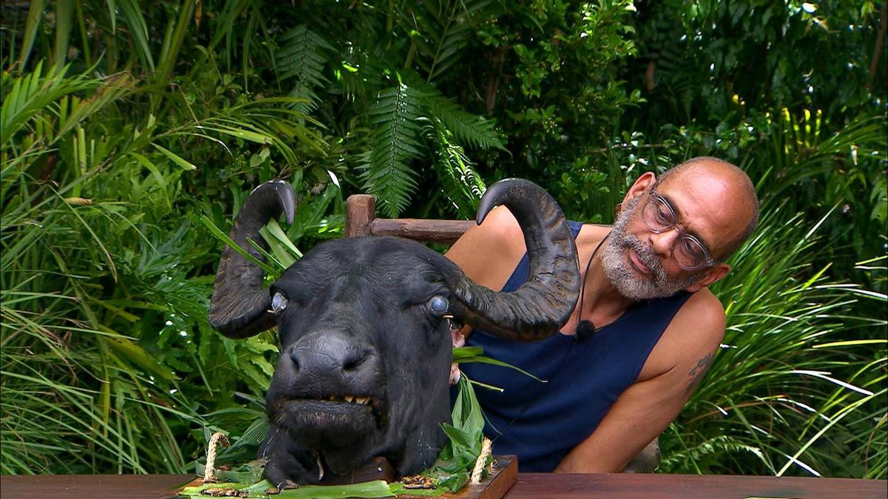Pierre Sanoussi-Bliss erkämpfte sich im Dschungelcamp den zweiten Platz hinter Königin Lilly Becker.